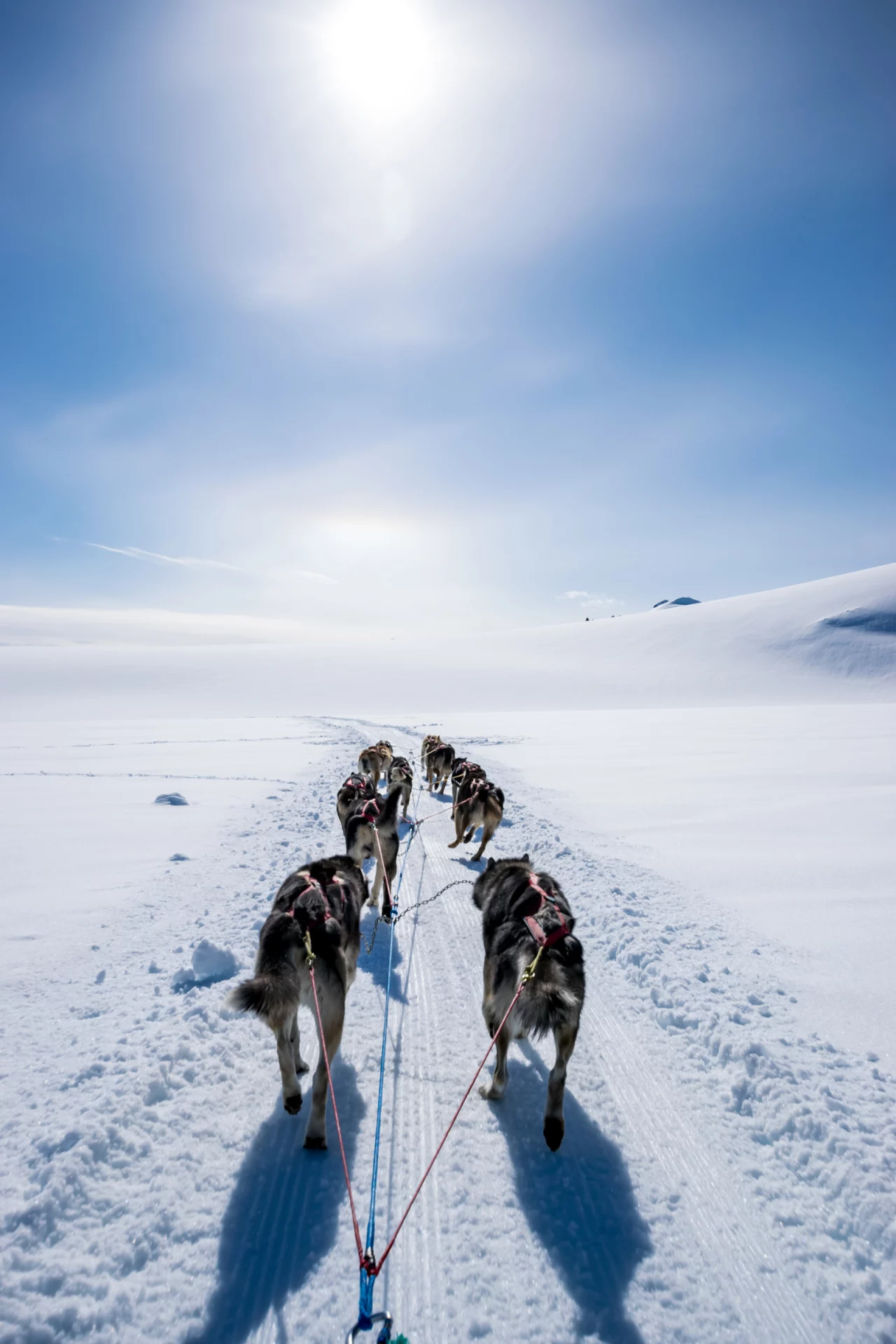 2020_11_gettyimages-1169725612-scaled.webp