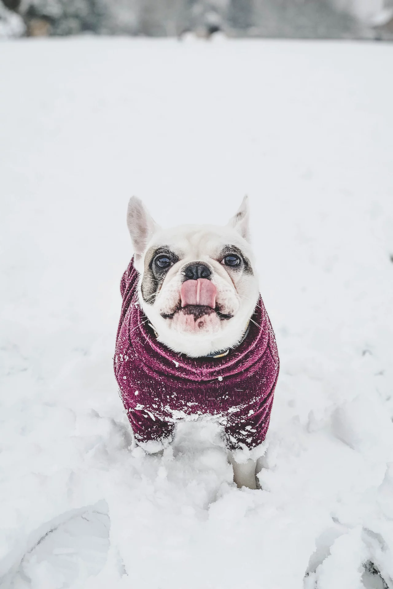2020_11_gettyimages-1182703866-scaled.webp