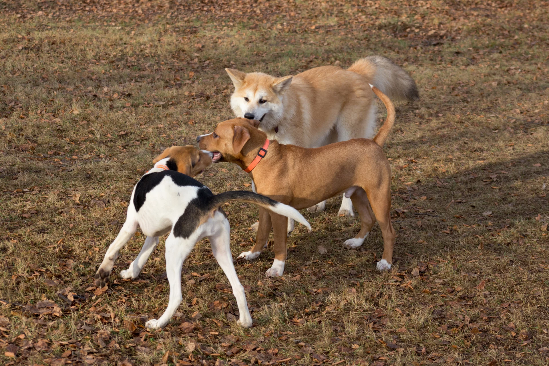 2020_11_gettyimages-1201002782-scaled.webp