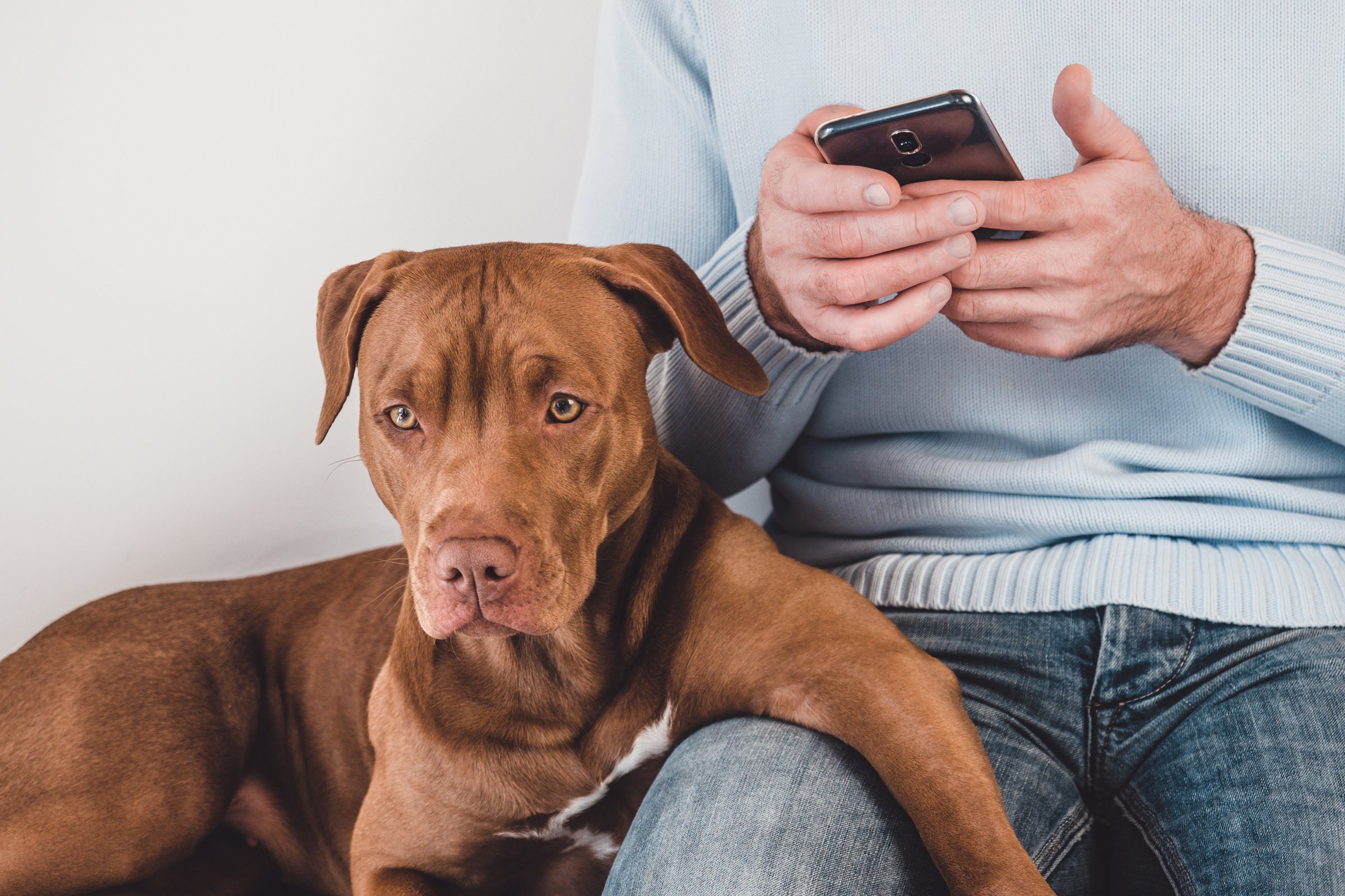 telefonozó férfi kutya