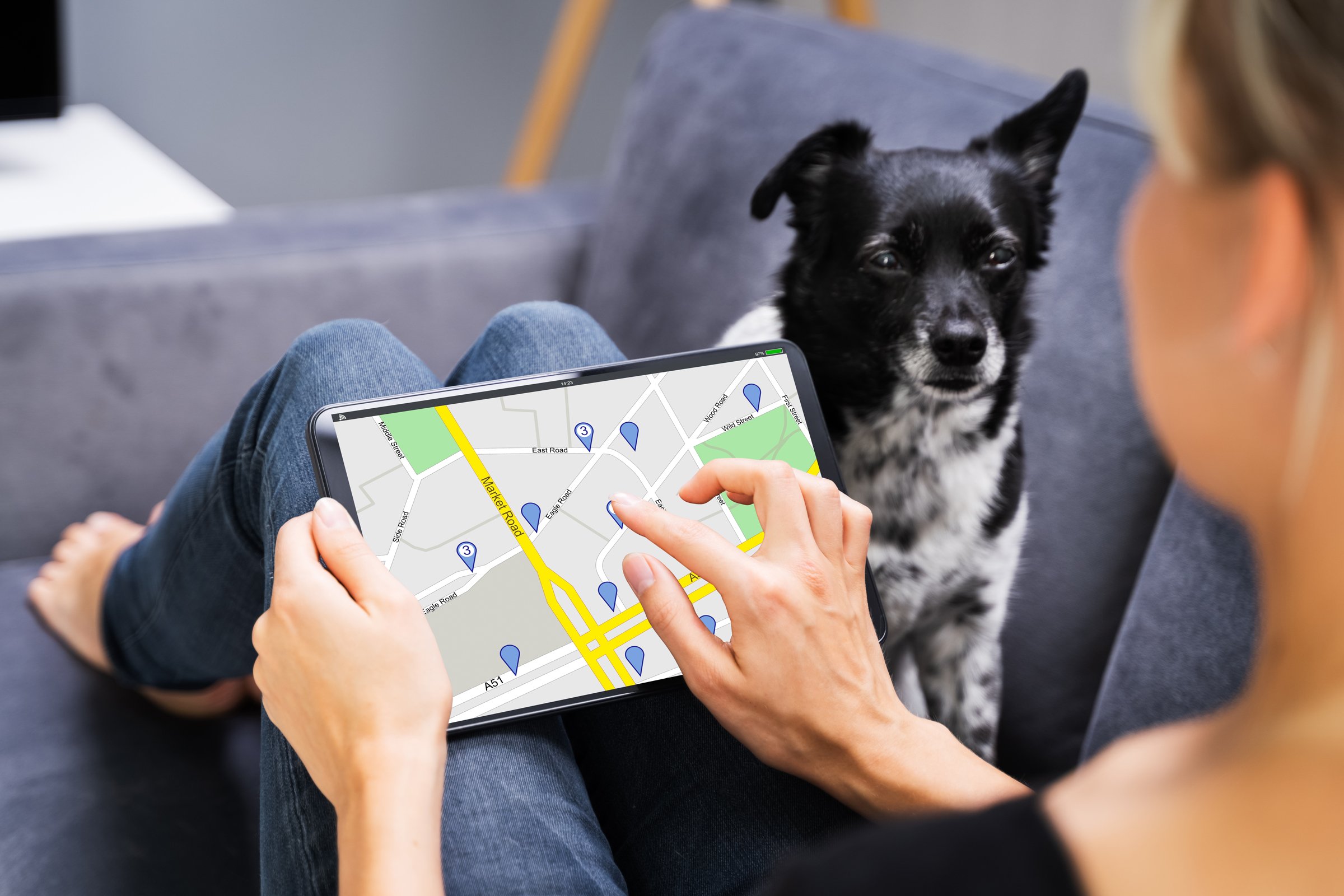 gps kutya számítógép tablet nyomkövetés