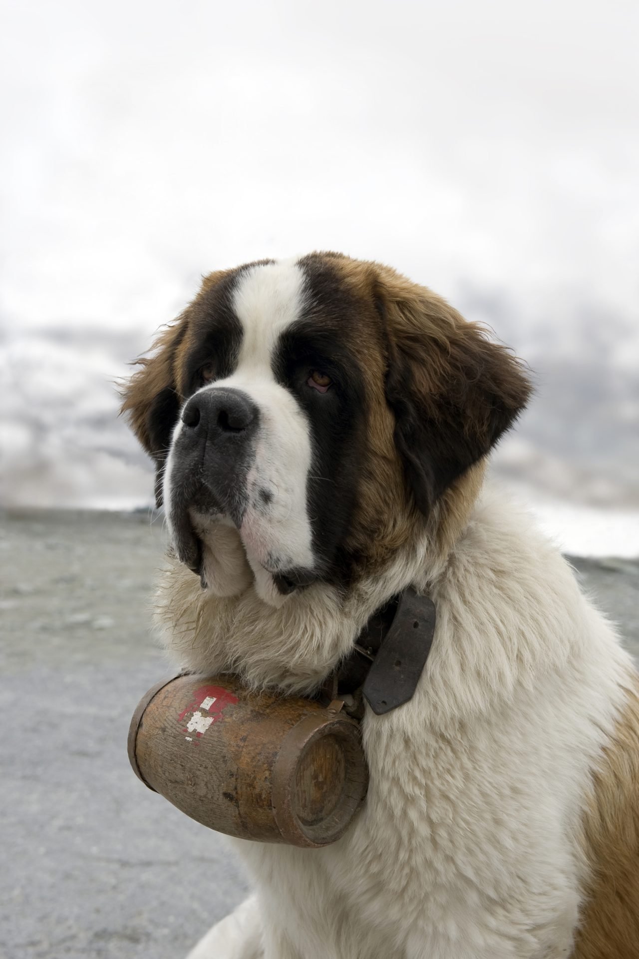 2020_11_gettyimages-157687095-scaled.jpg