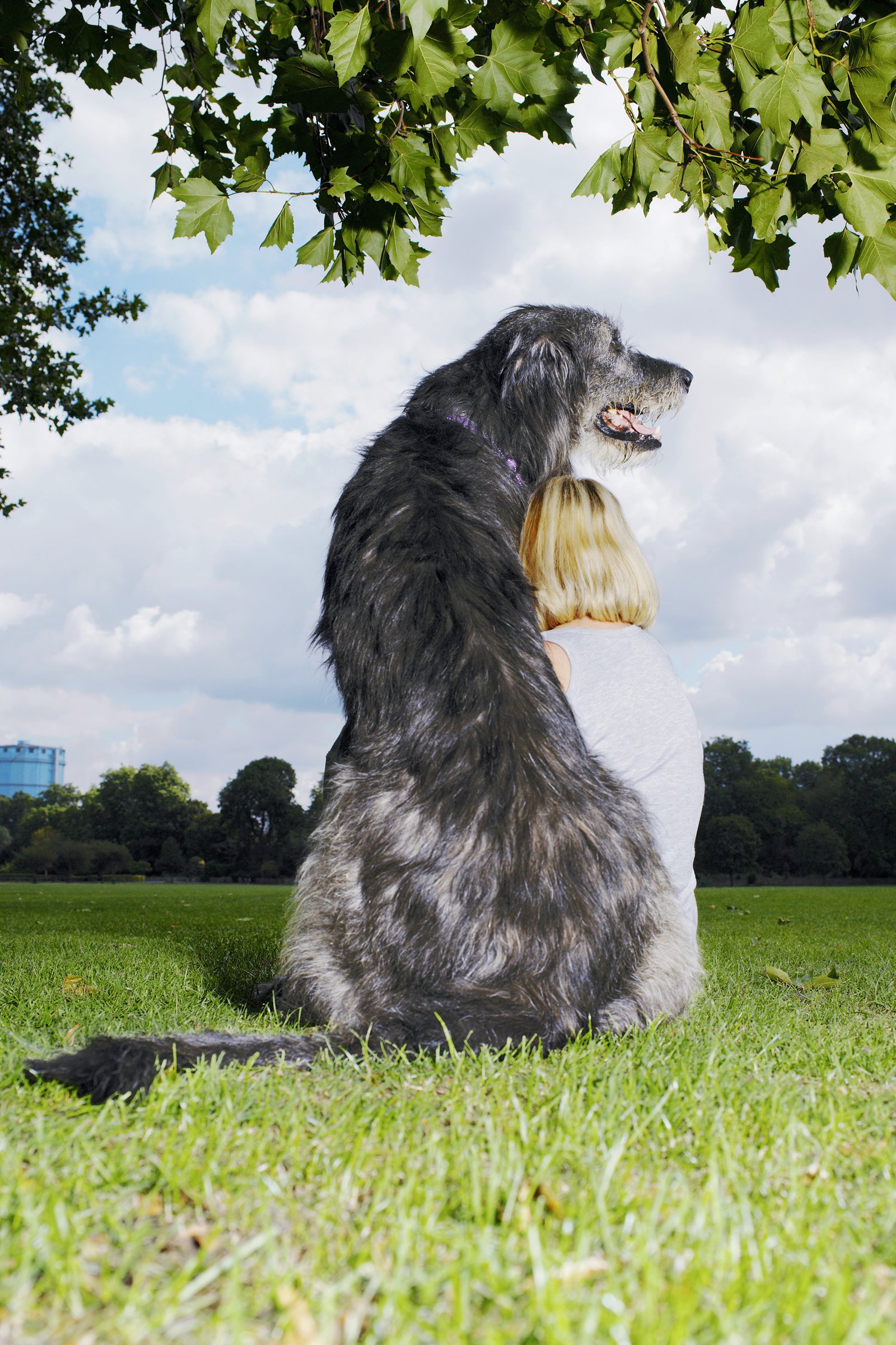 Mature woman and Irish wolfhound sitting on grass, rear view
