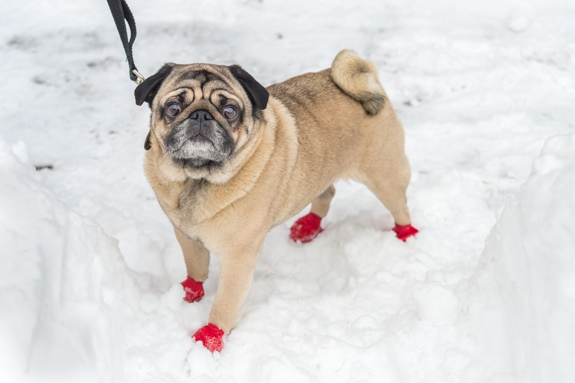 2020_11_gettyimages-506549920-scaled.jpg