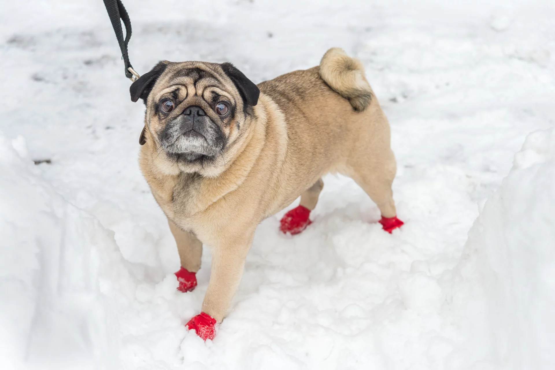 2020_11_gettyimages-506549920-scaled.webp