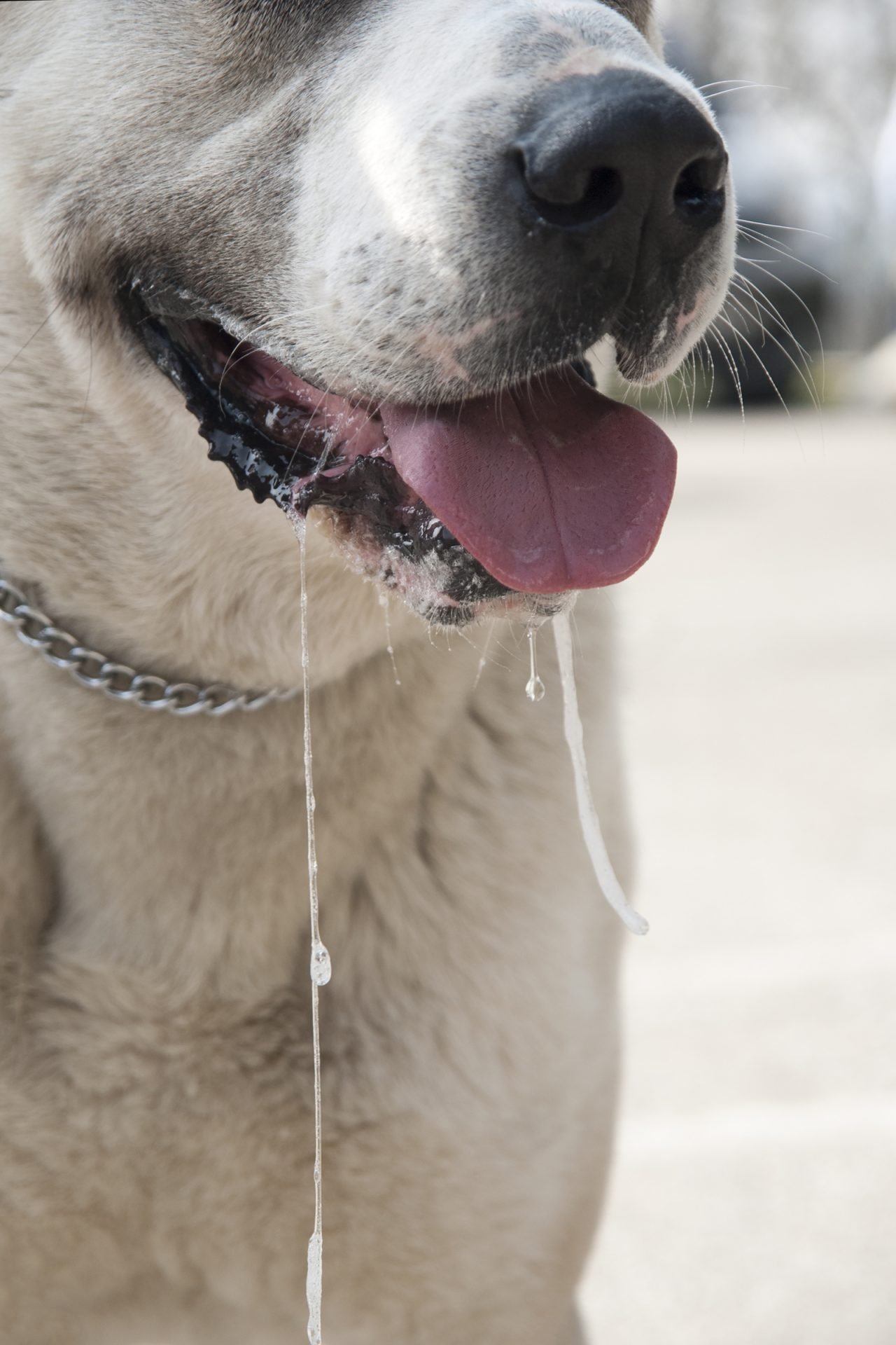 2020_11_gettyimages-516721734-scaled.jpg
