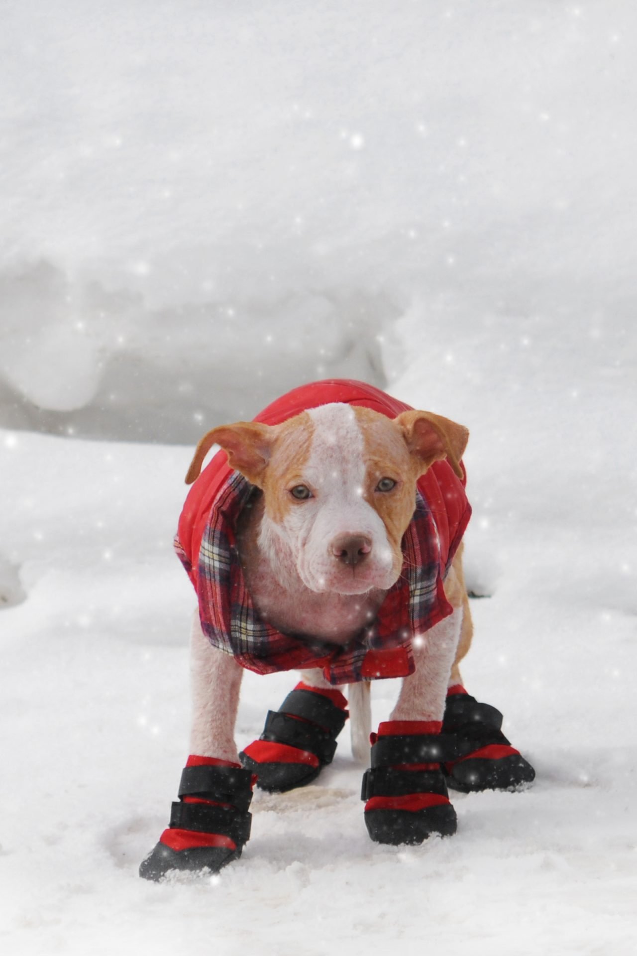 2020_11_gettyimages-523109567-scaled.jpg