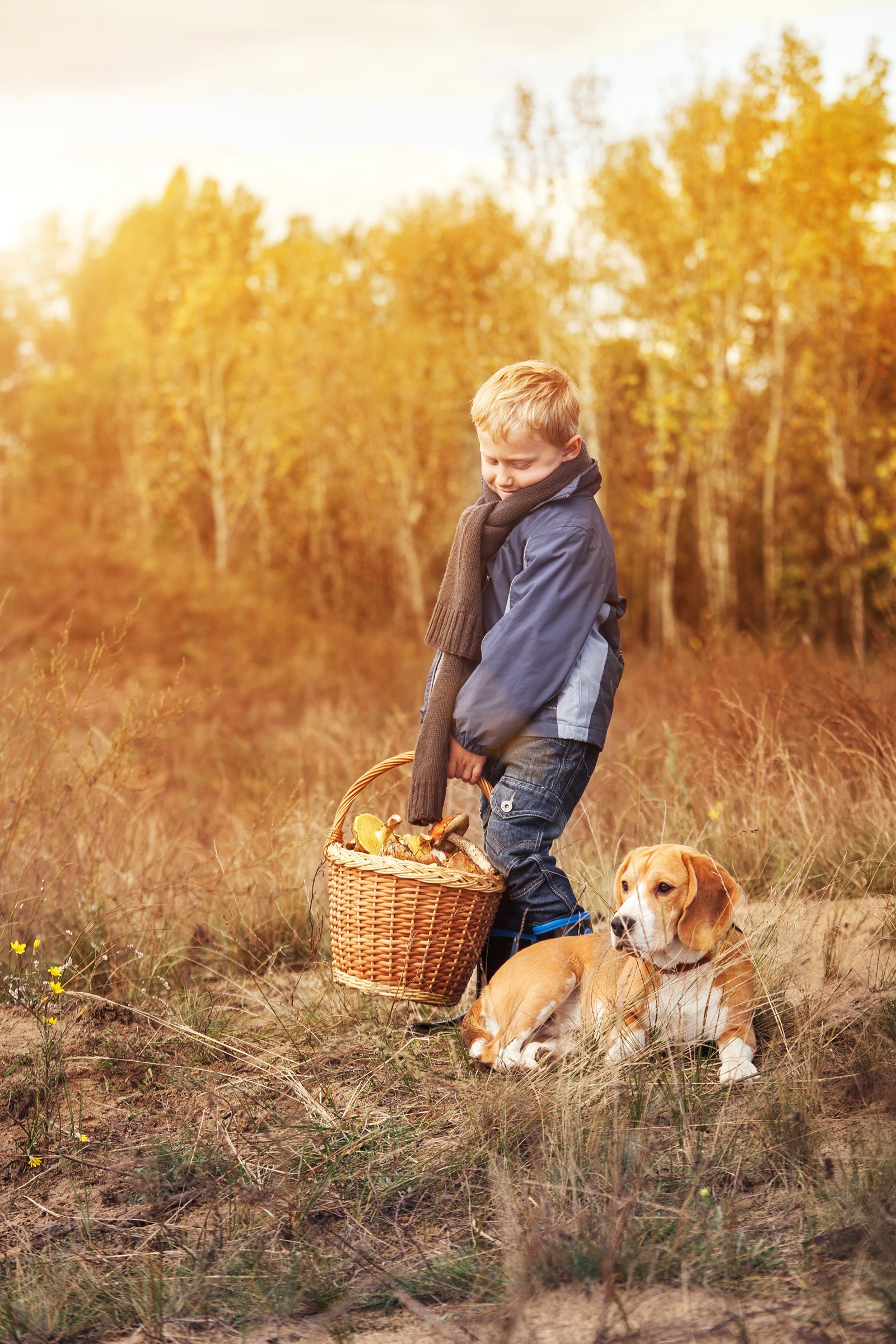 beagle kisfiú ősz gomba