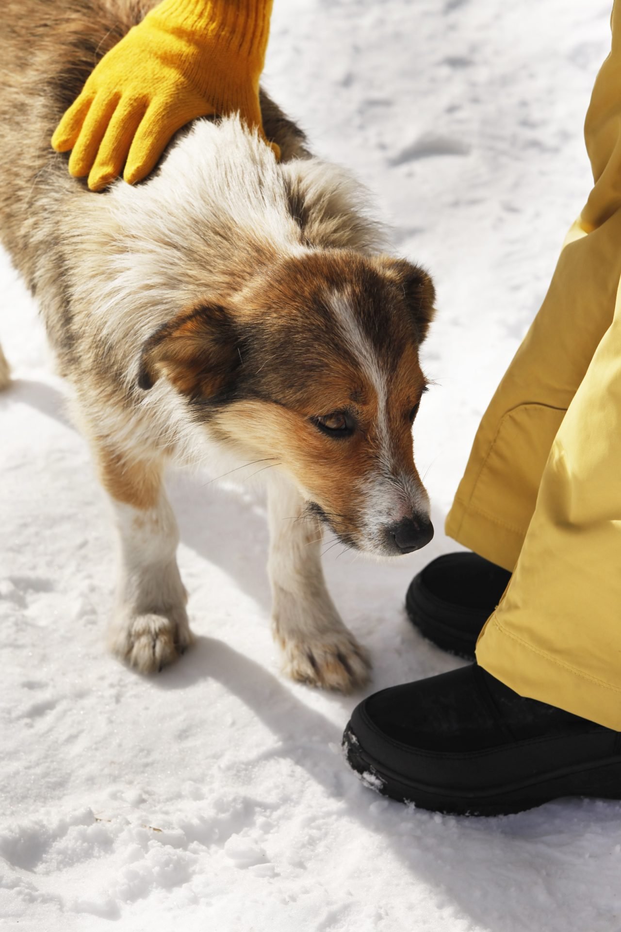 2020_11_gettyimages-672923208-scaled.jpg