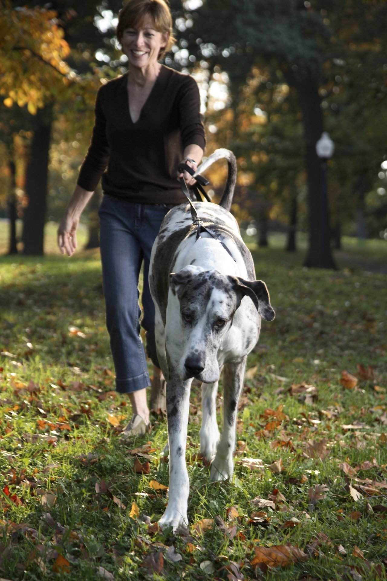 2020_11_gettyimages-73552087-scaled.jpg