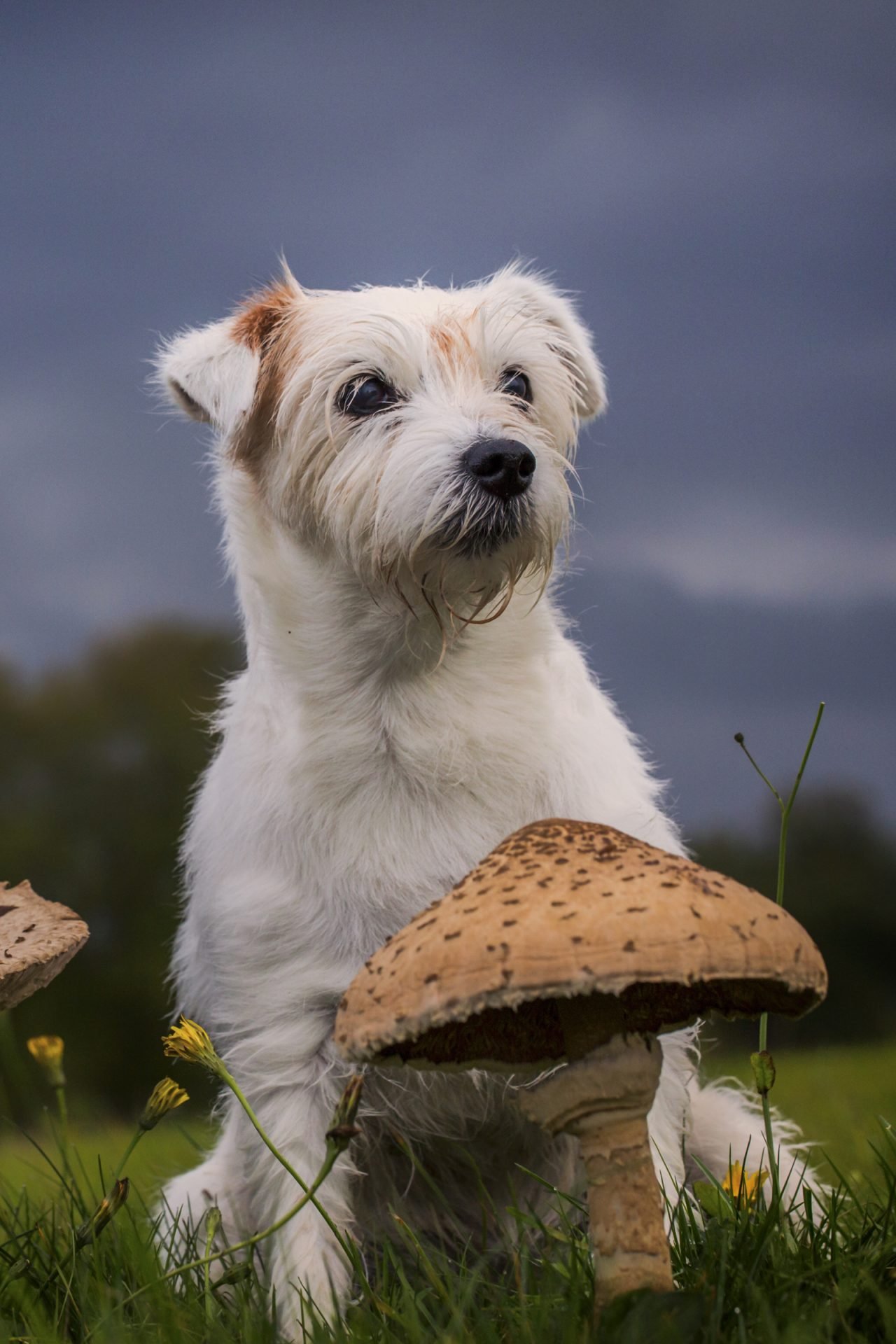 2020_11_gettyimages-880056176-scaled.jpg