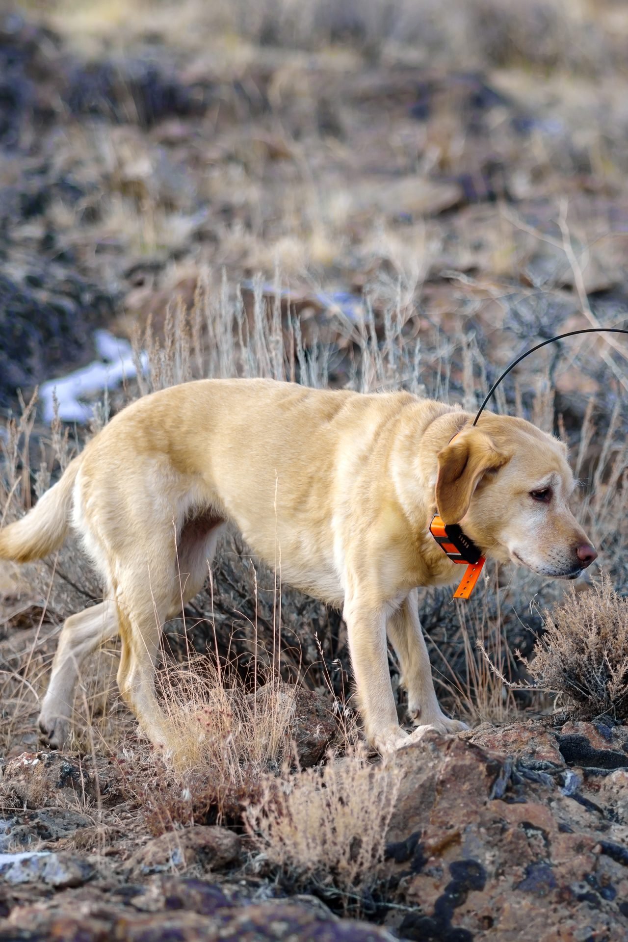 2020_11_gettyimages-910286320-scaled.jpg