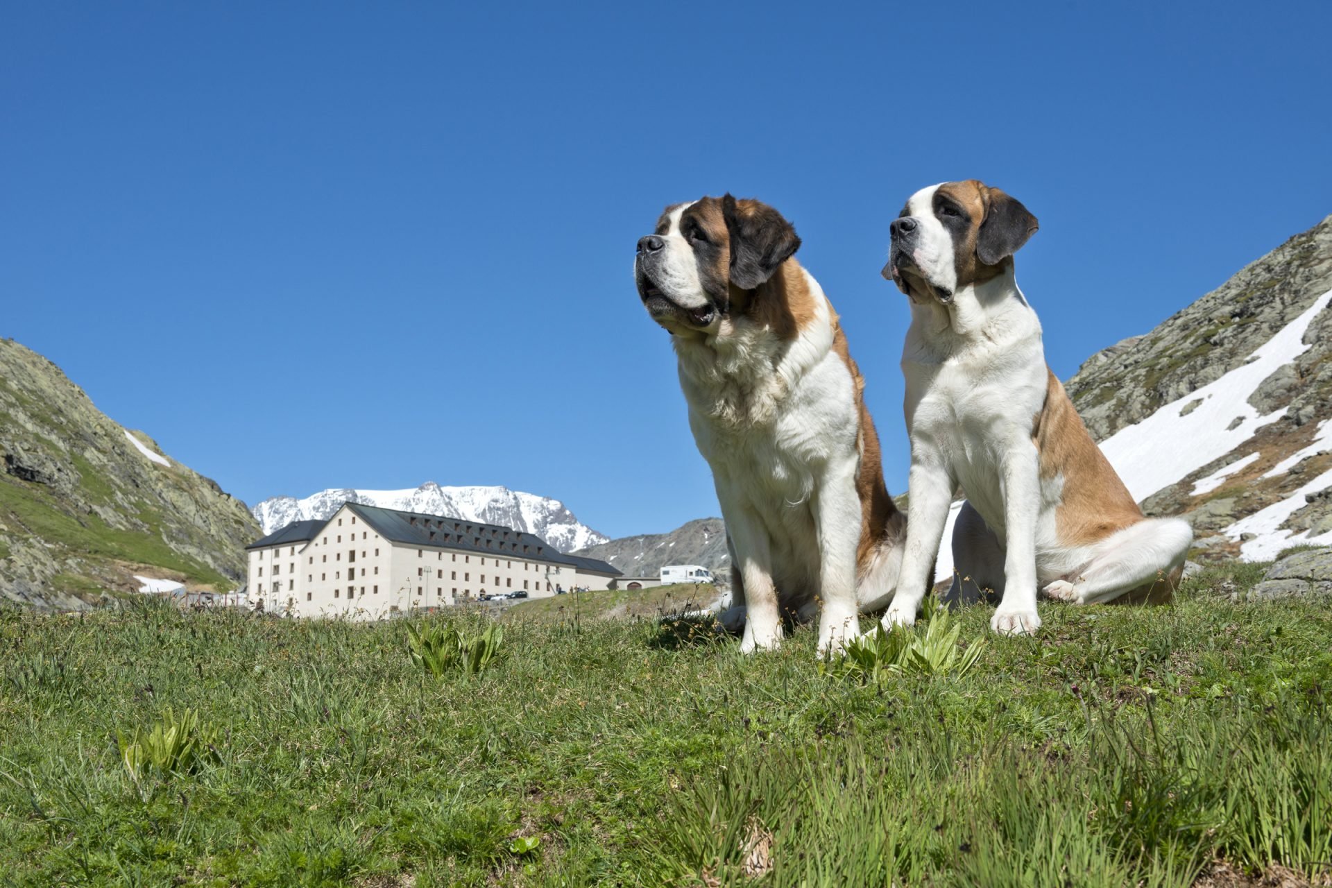2020_11_gettyimages-939713028-scaled.jpg