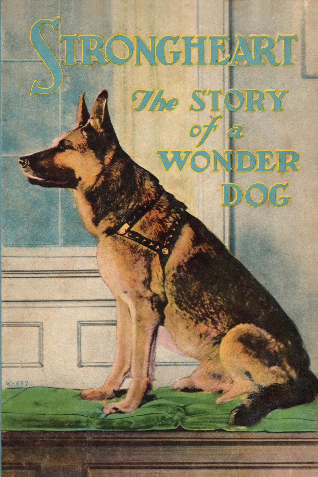 2020_11_strongheart-book-1926-fc-scaled.jpg