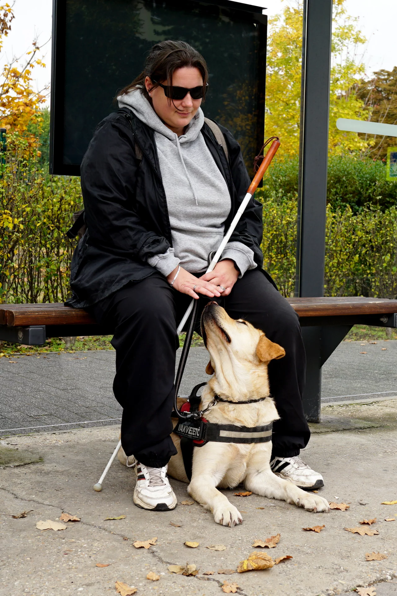 2020_11_tomegkozlekedes-4-scaled.webp