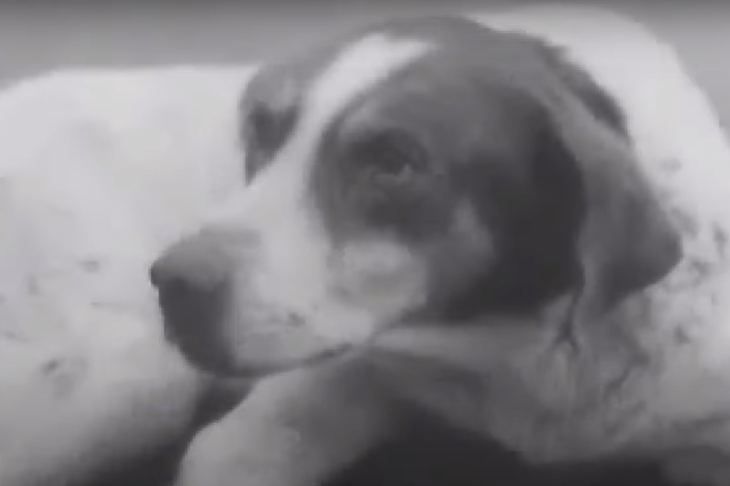 fido1