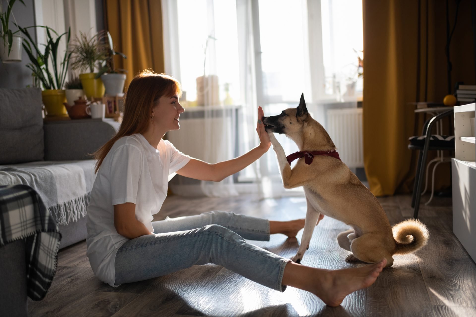 2020_12_gettyimages-1186867564-scaled.jpg