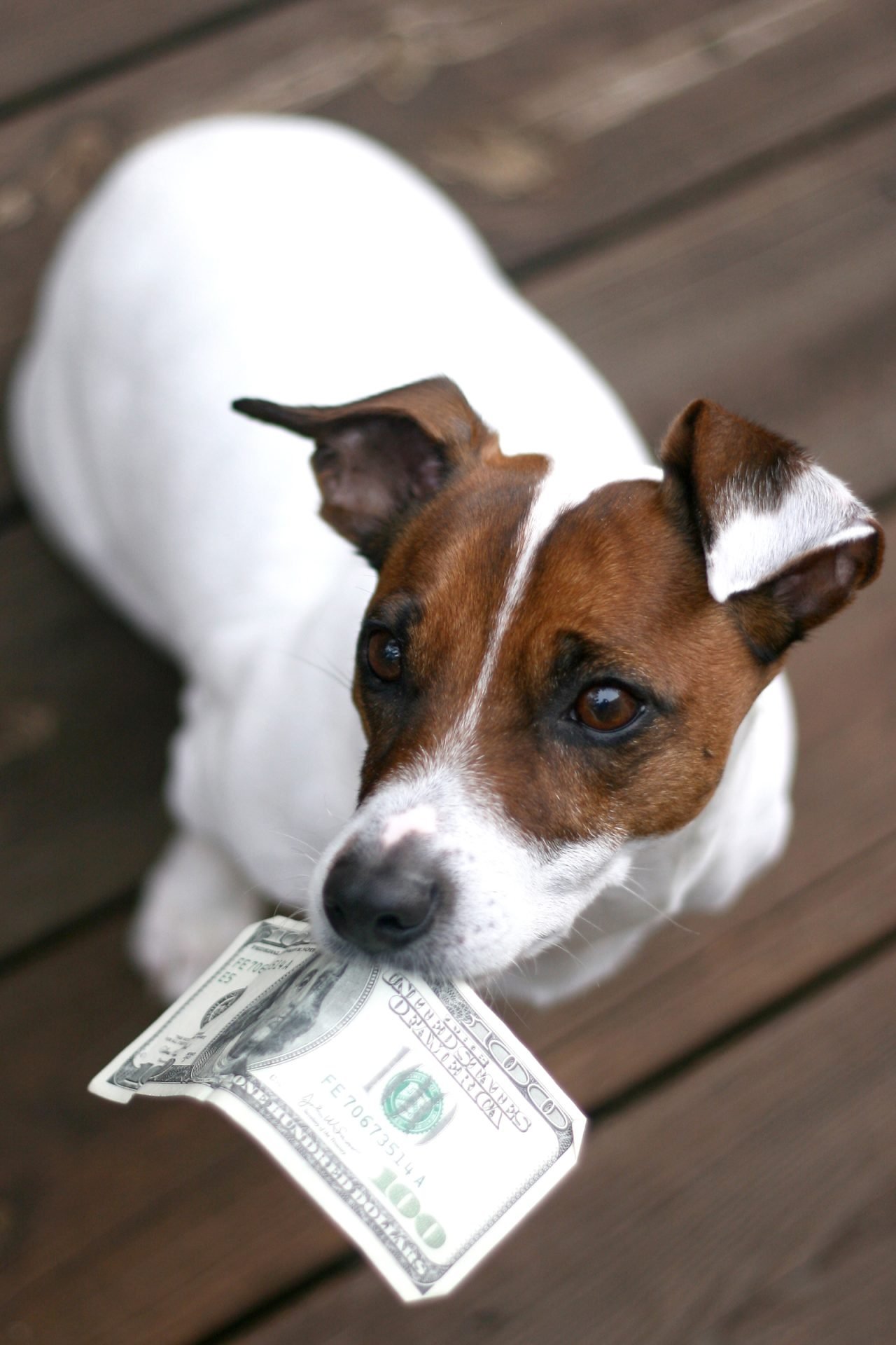 2020_12_gettyimages-124006562-scaled.jpg
