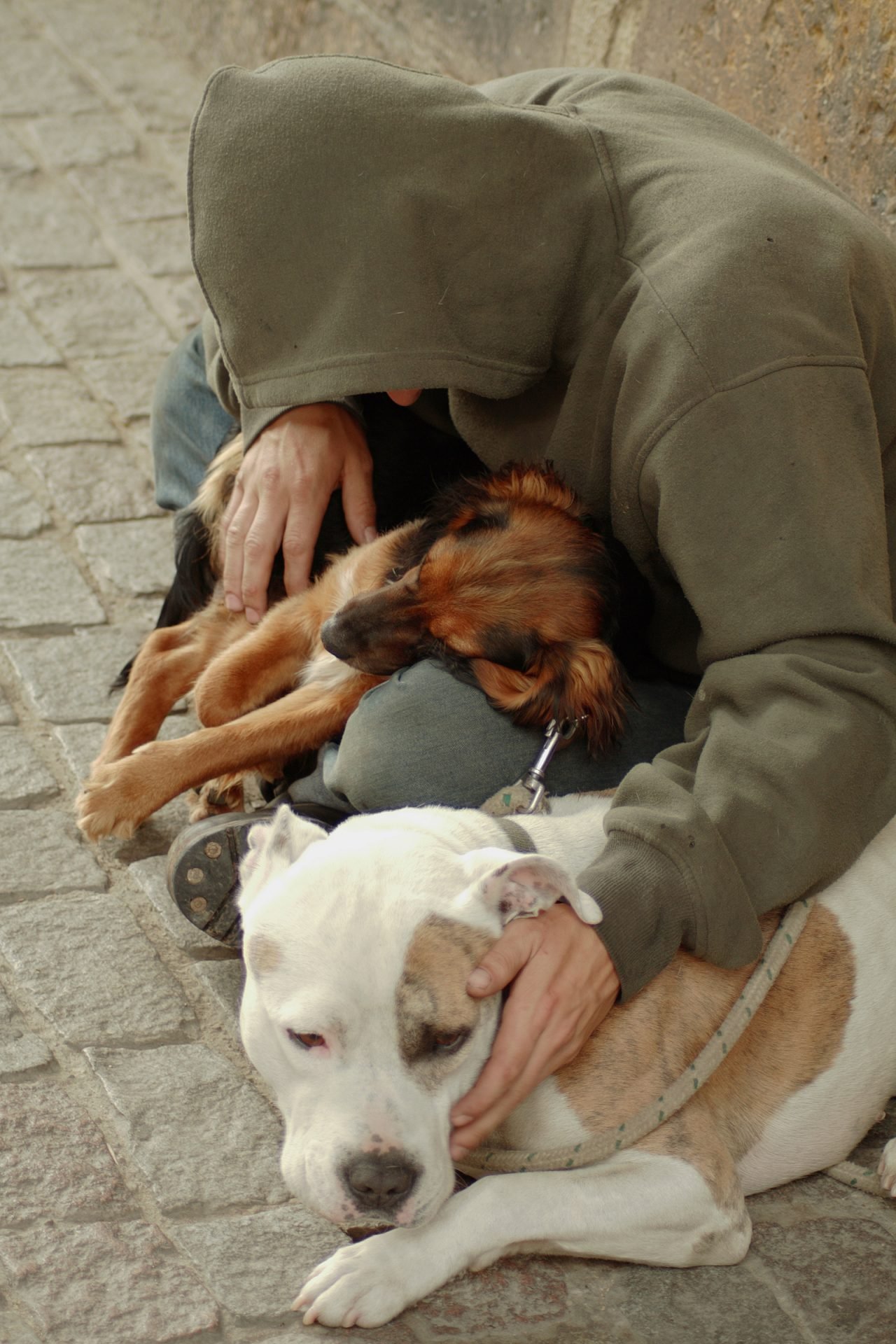 2020_12_gettyimages-144337110-scaled.jpg