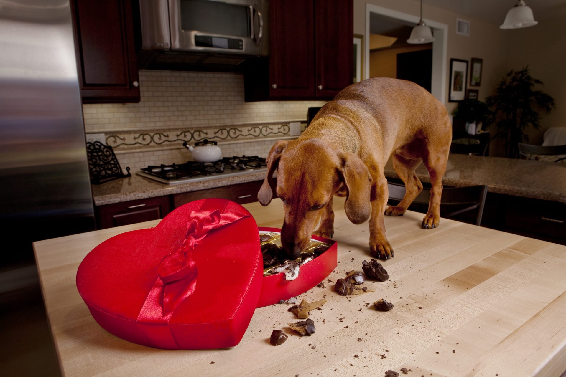 2020_12_gettyimages-155247280-scaled.jpg