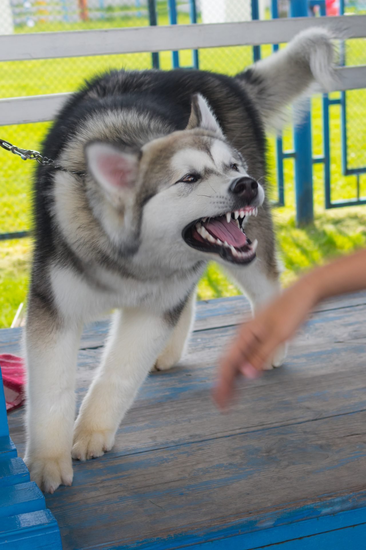 2020_12_gettyimages-494597027-scaled.jpg