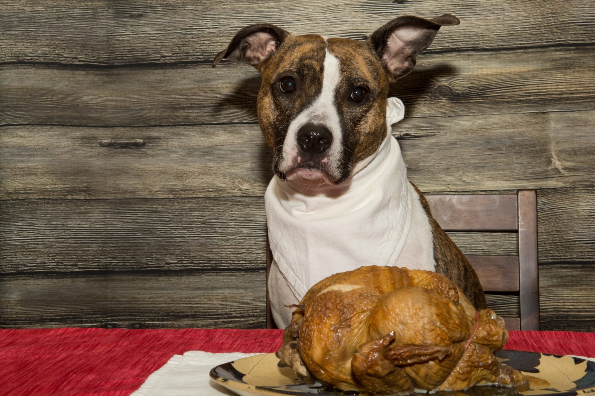 2020_12_gettyimages-498834330-scaled.jpg
