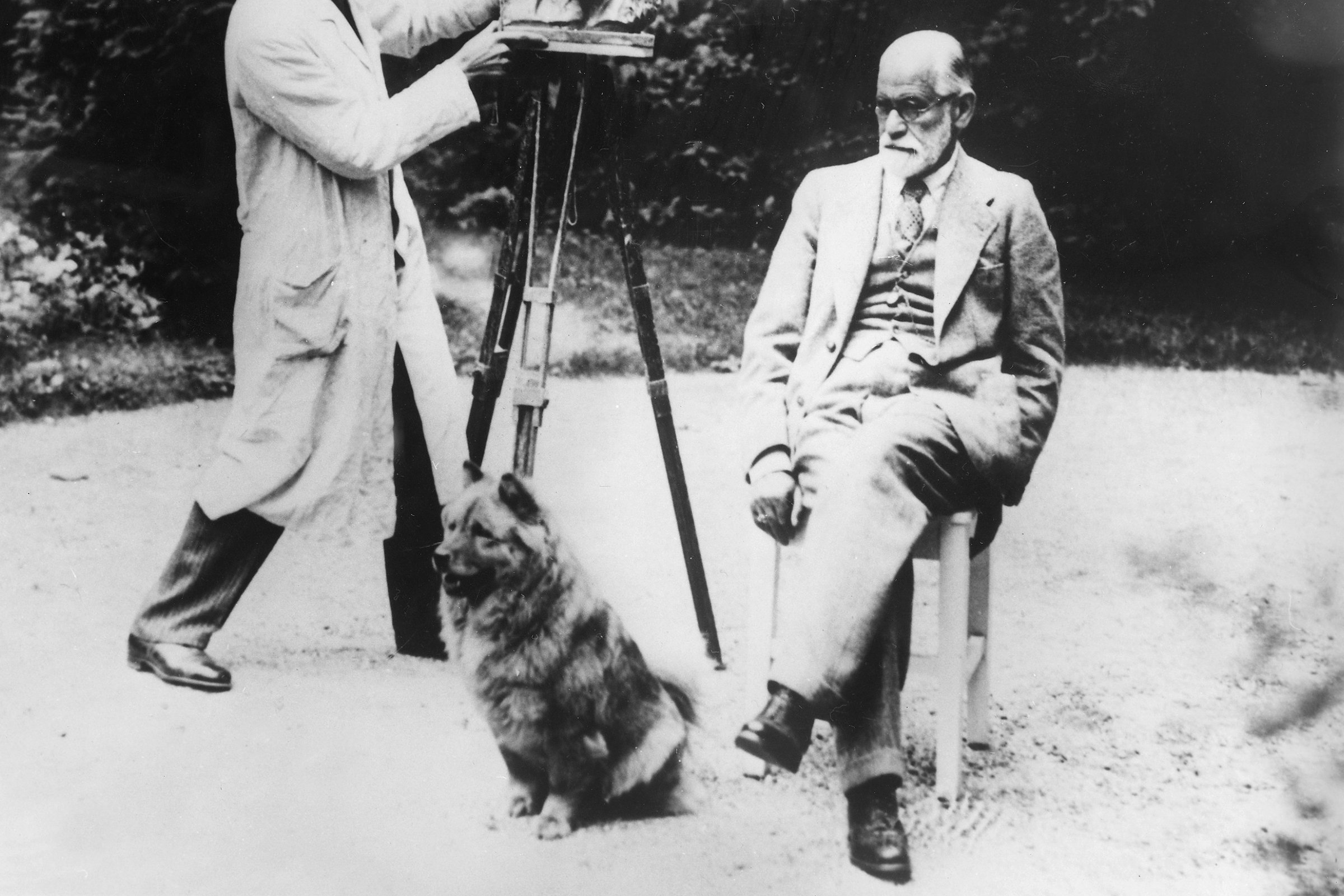 Sigmund Freud kutyával