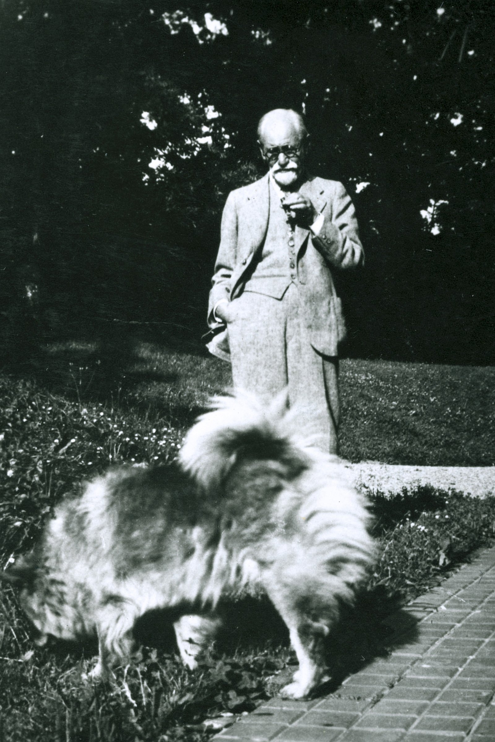Freud kutyája