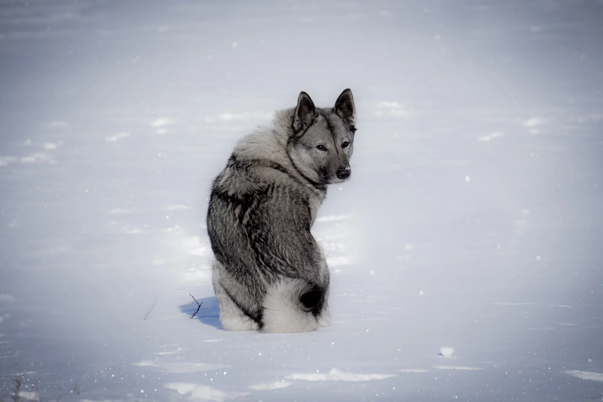 2020_12_gettyimages-668279290-scaled.webp