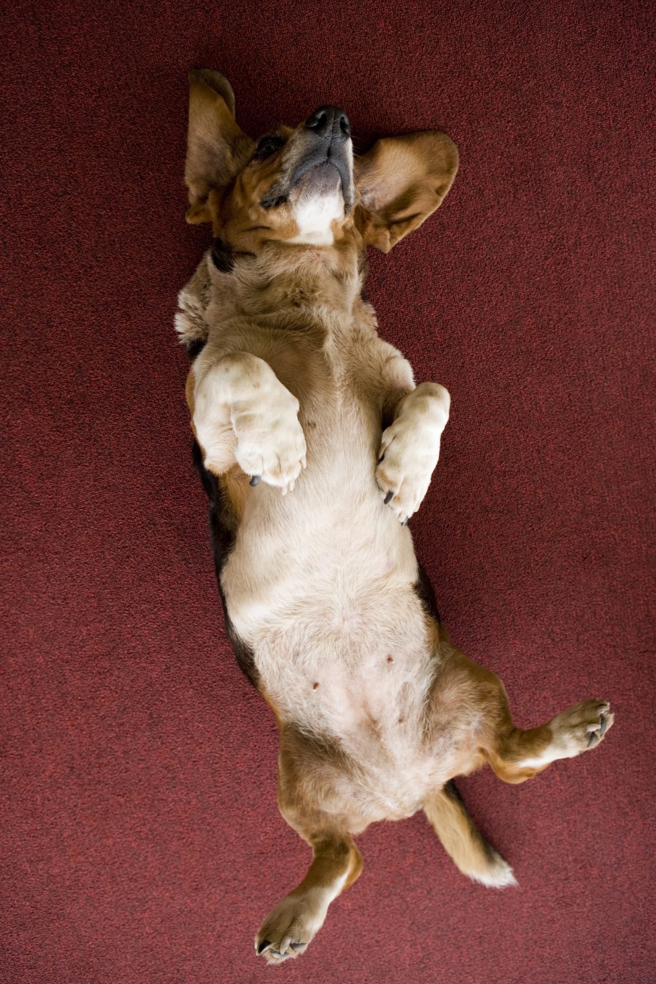 2020_12_gettyimages-80486229-scaled.jpg