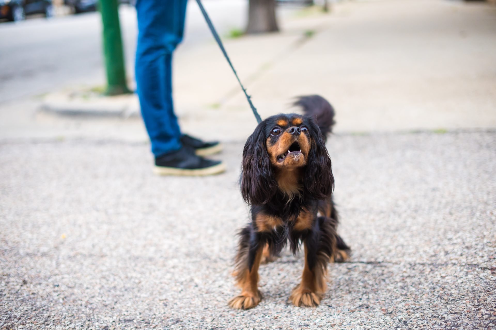 2020_12_gettyimages-827138972-scaled.jpg