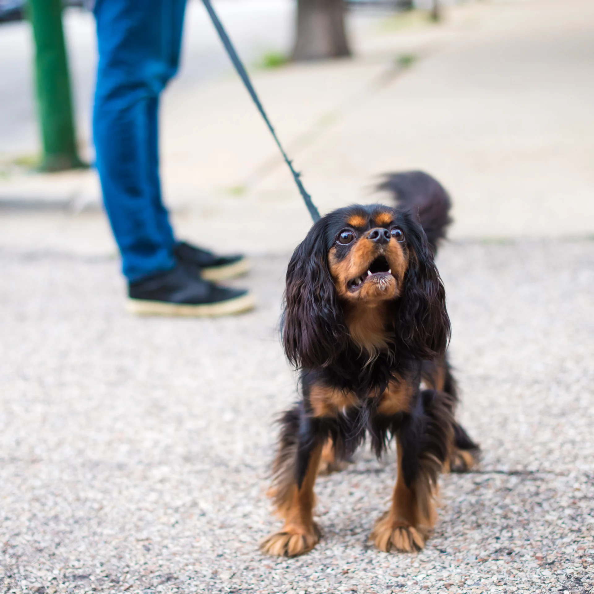 2020_12_gettyimages-827138972s-scaled.webp
