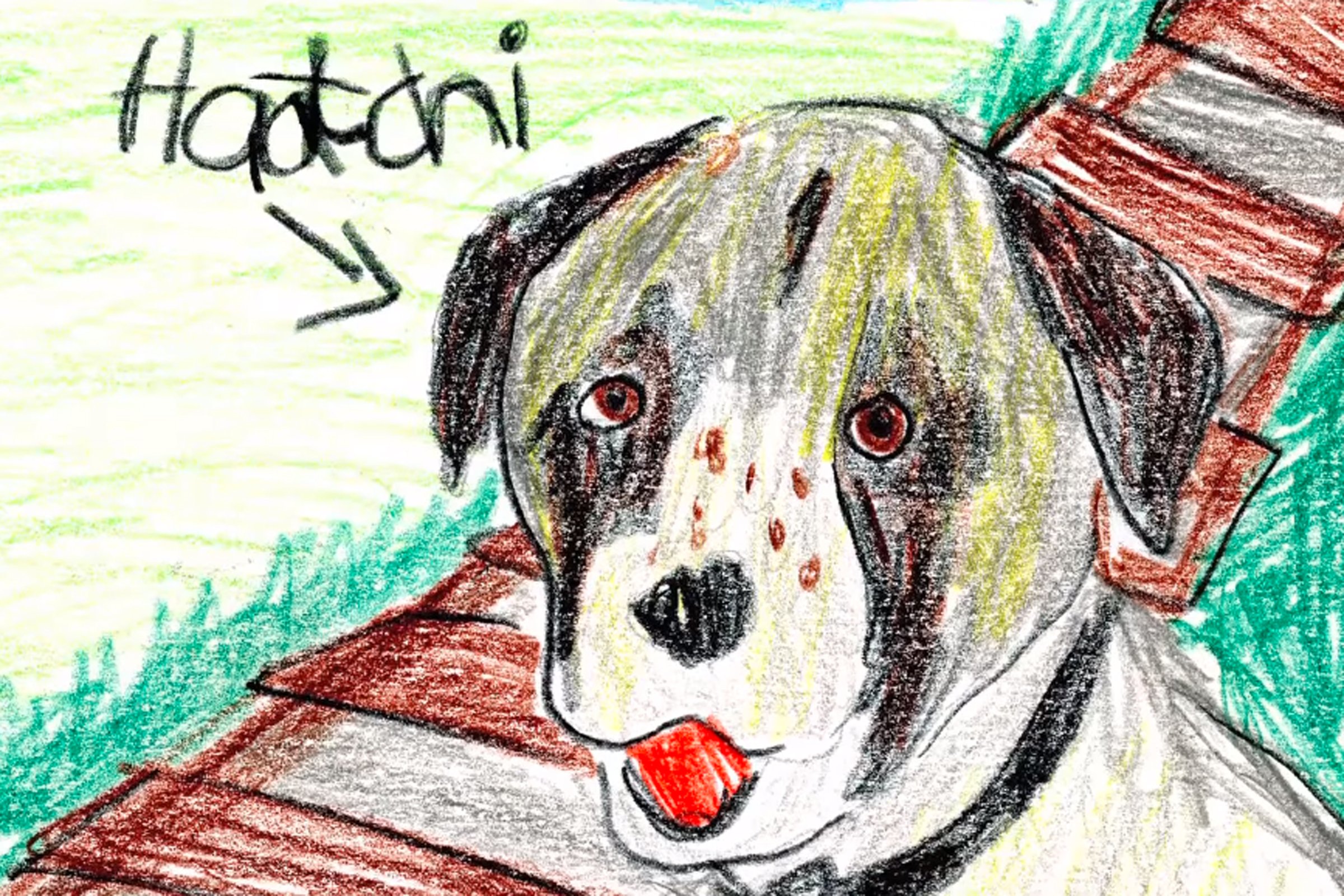 haatchi vonat