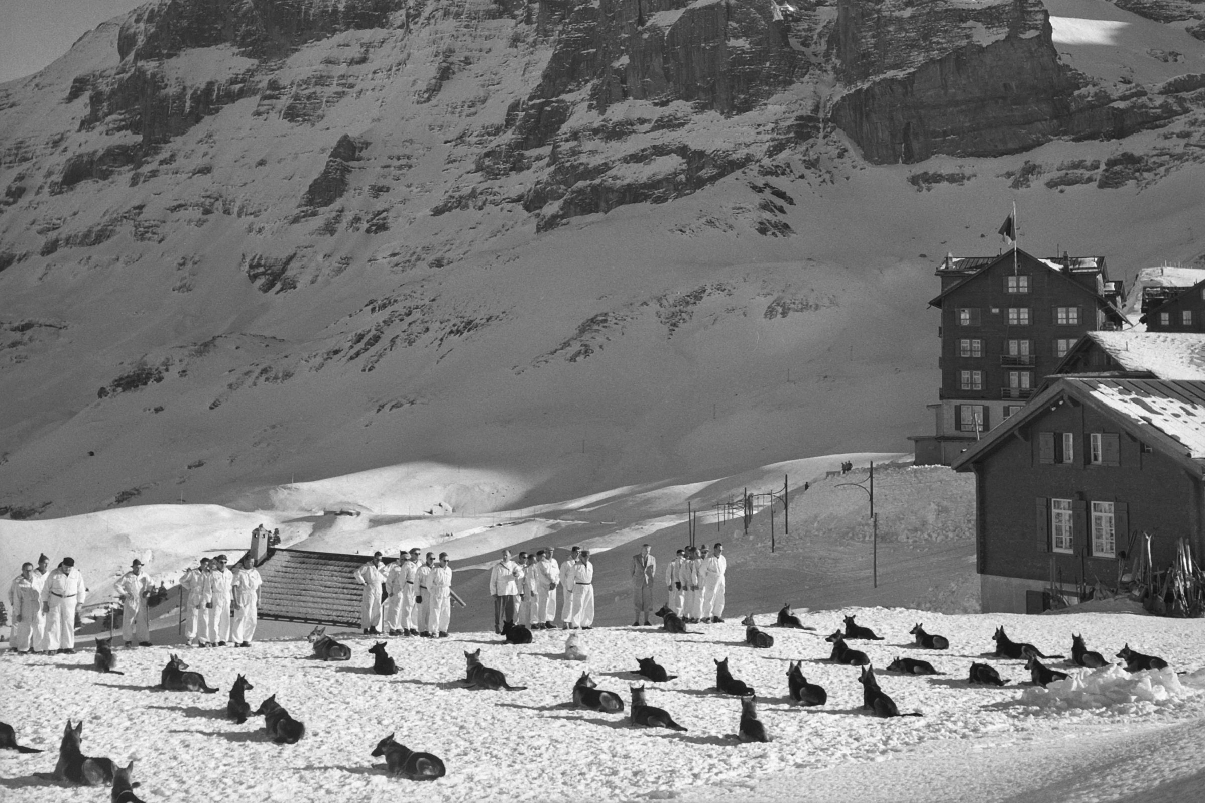 lavinakutyák képzése 1952