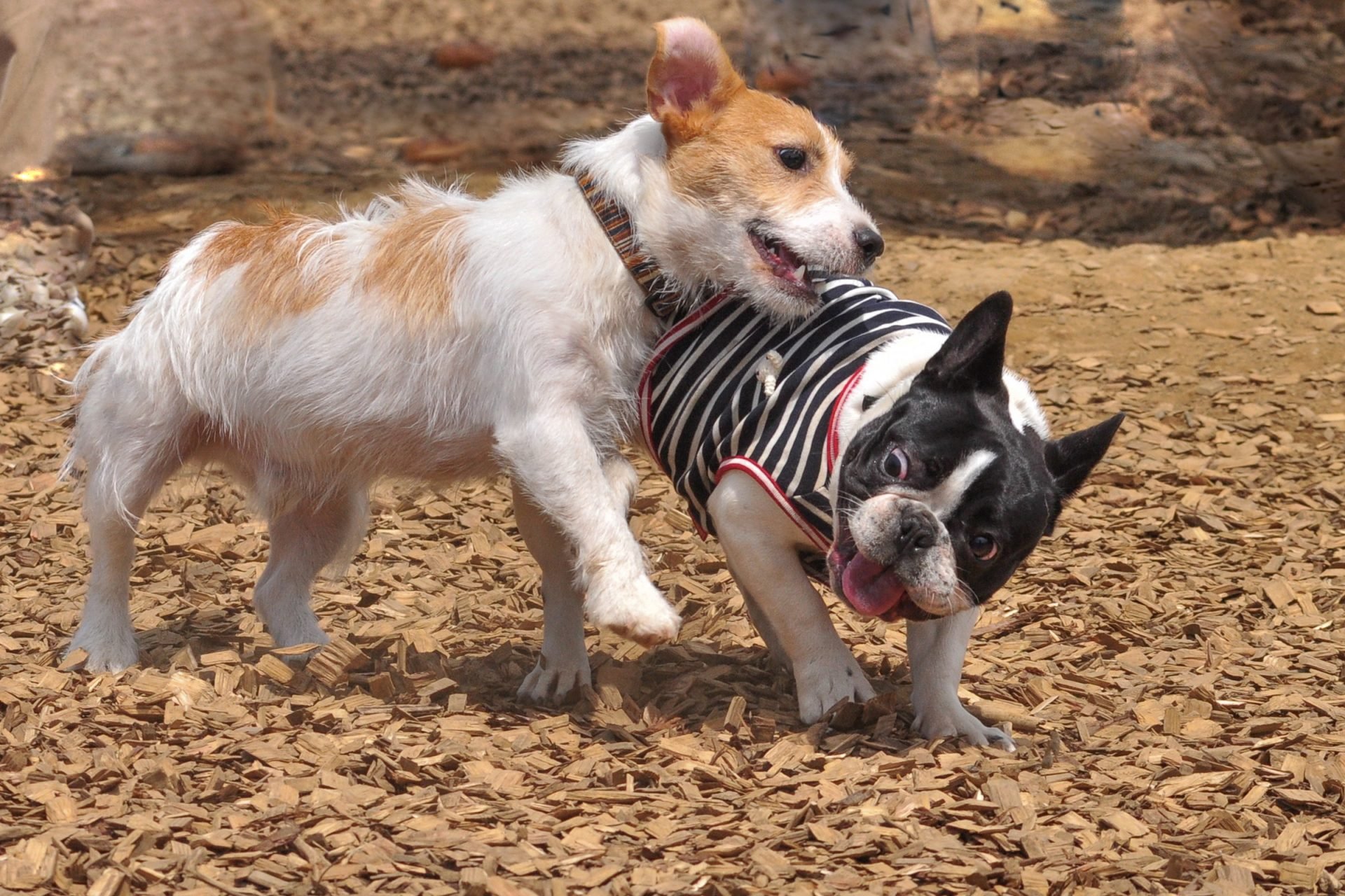 2021_01_gettyimages-1255153900-scaled.jpg