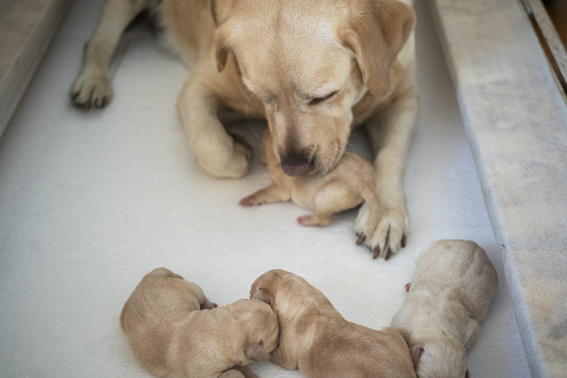 2021_01_gettyimages-1296179916-scaled.jpg