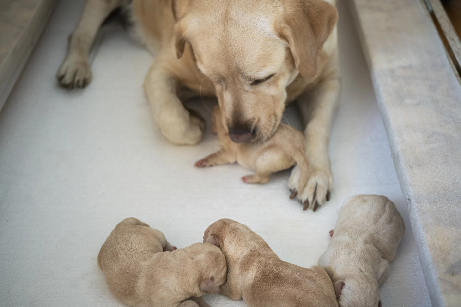 2021_01_gettyimages-1296179916-scaled.webp