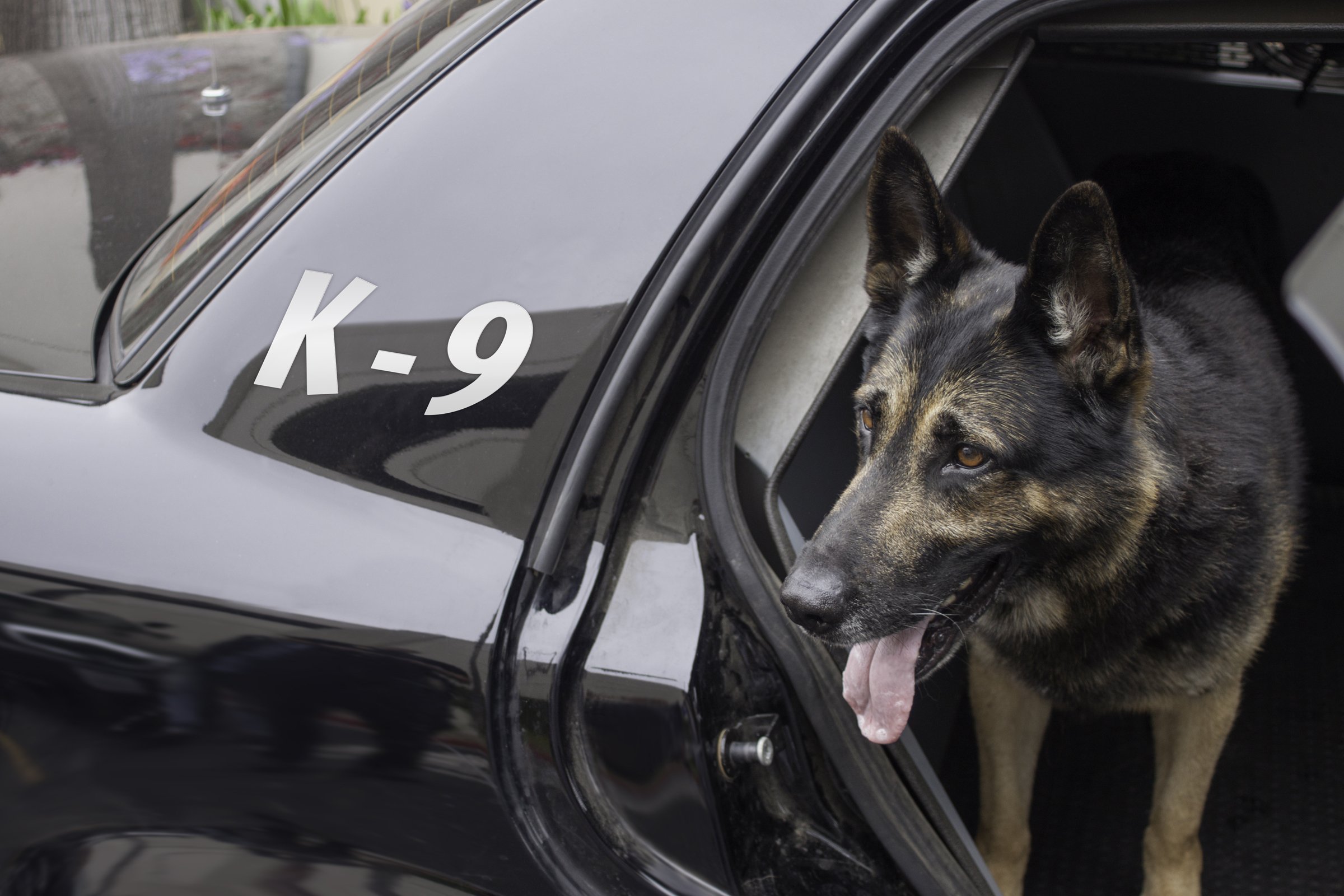 rendőrkutya k9