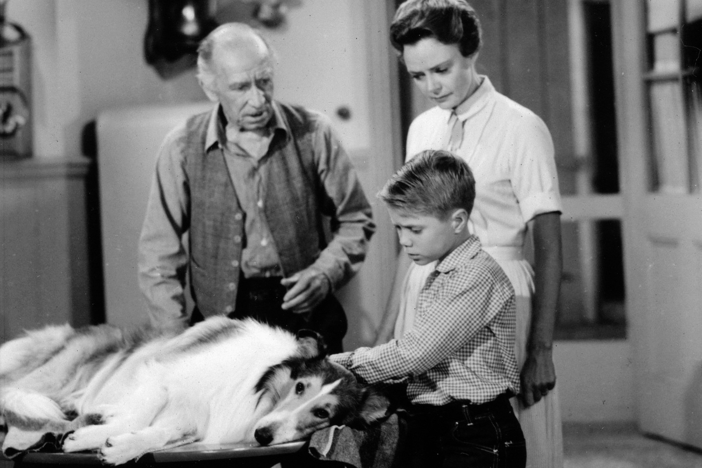 Lassie 1962 sorozat