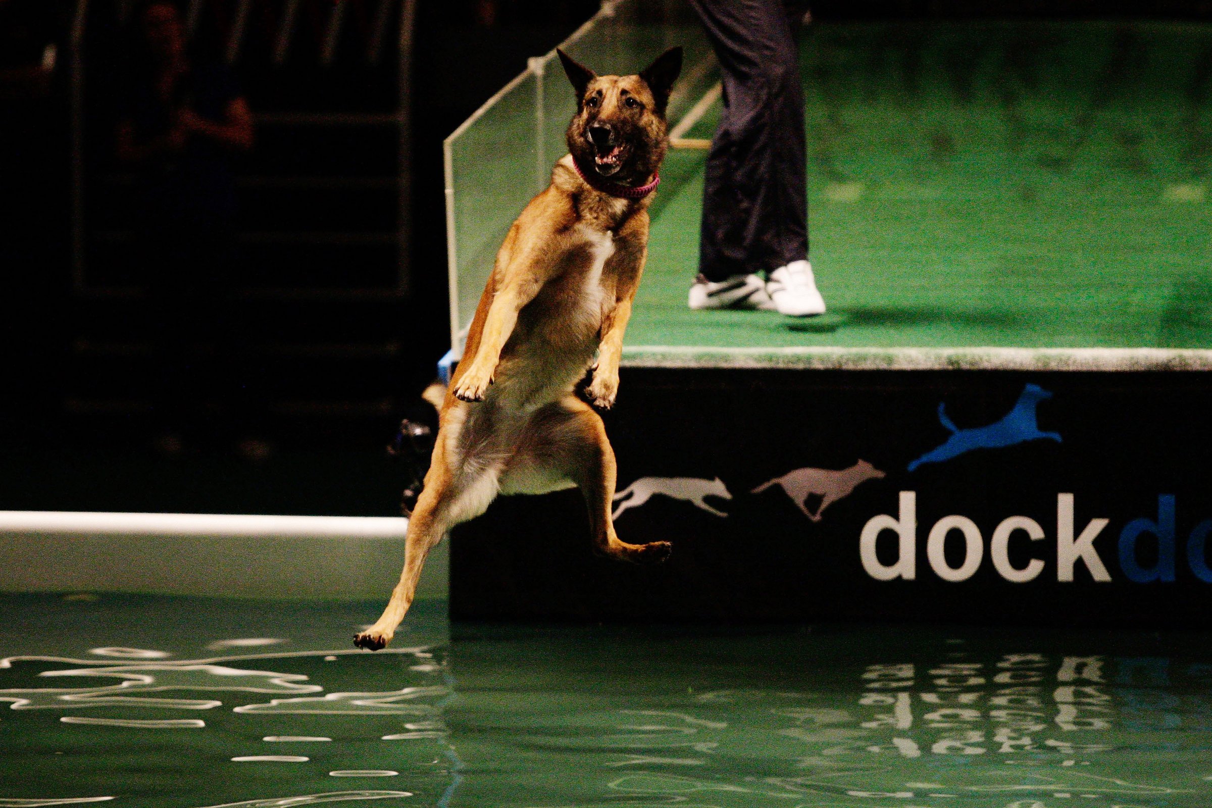 dock jumping