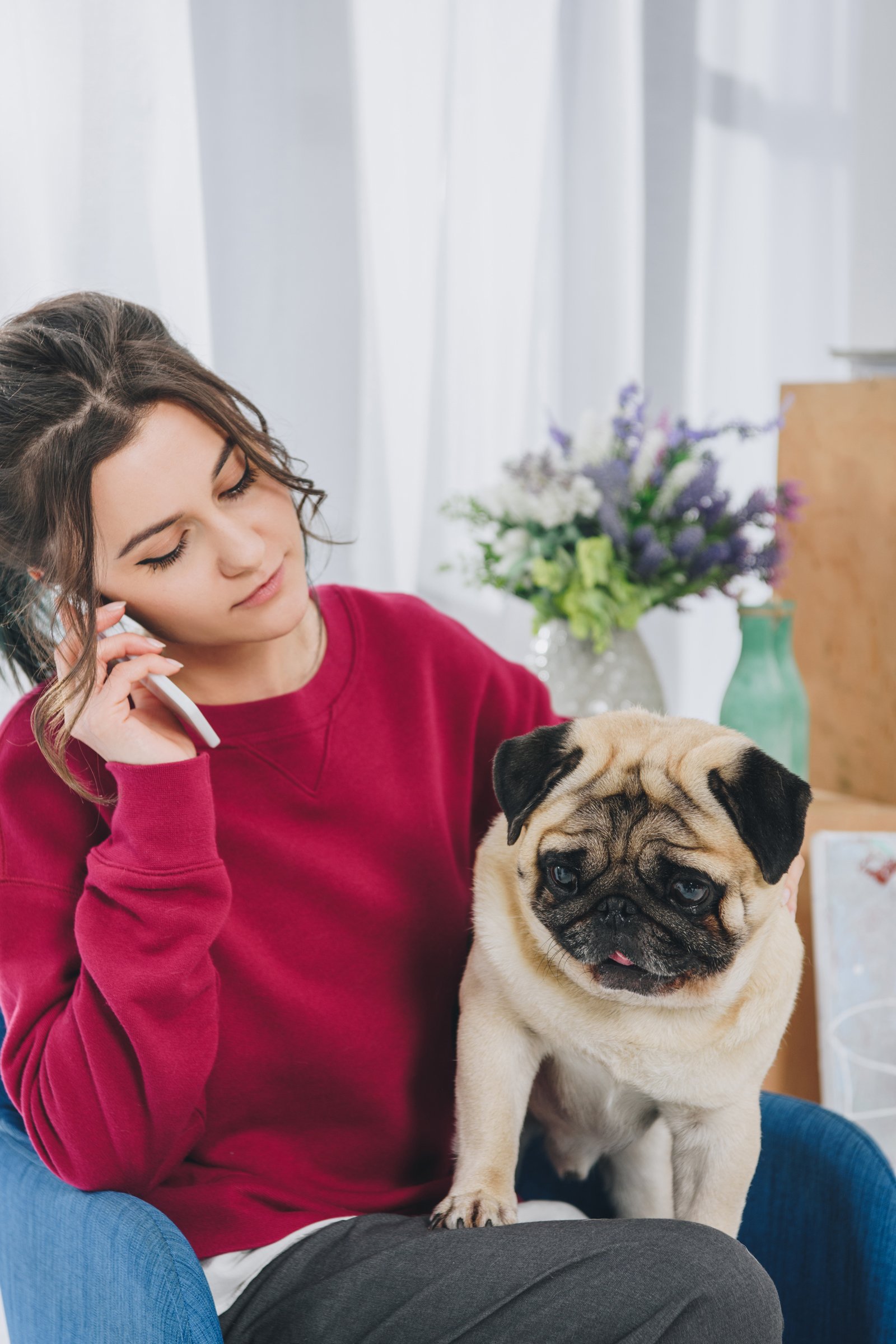 telefon nő otthon mobil mopsz otthon gazdi szomorú