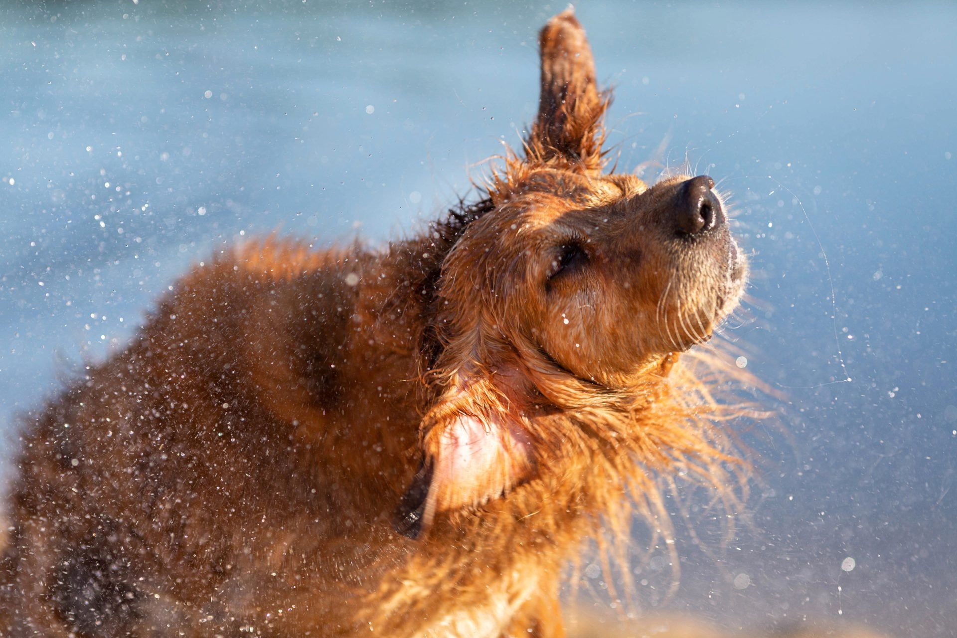 2021_01_gettyimages-973752376-scaled.jpg