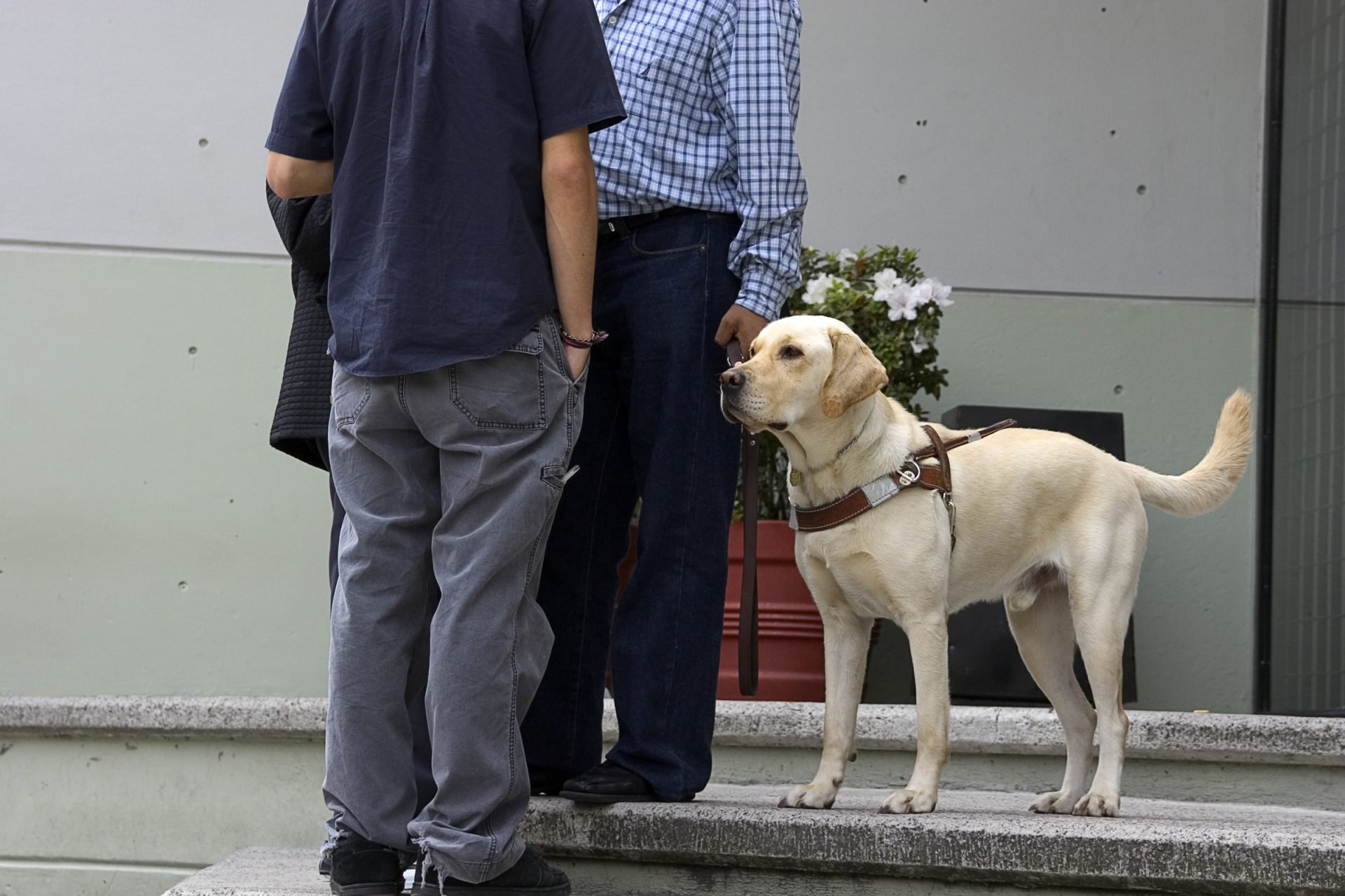 2021_02_gettyimages-174898098-scaled.jpg