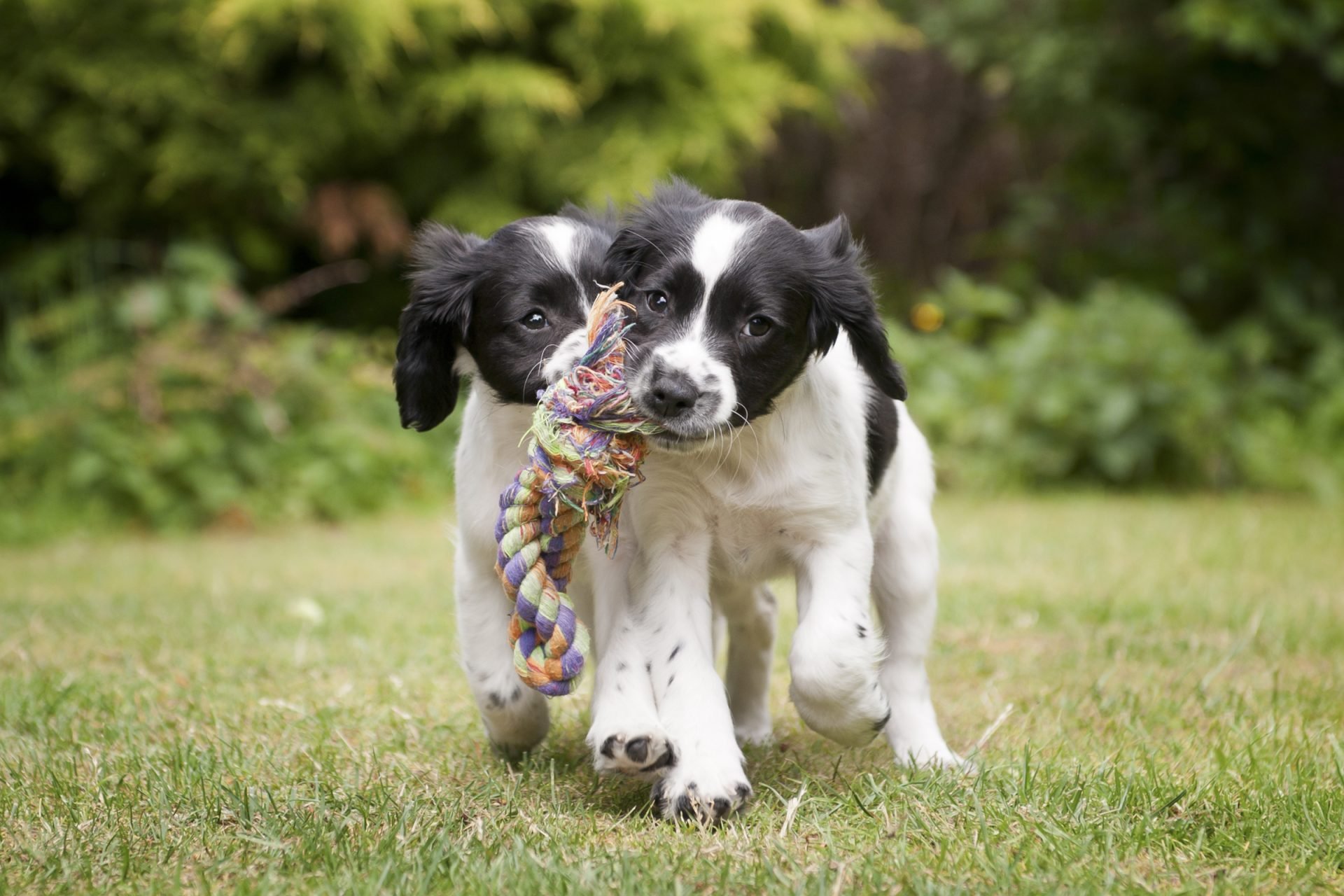 2021_02_gettyimages-184127930-scaled.jpg