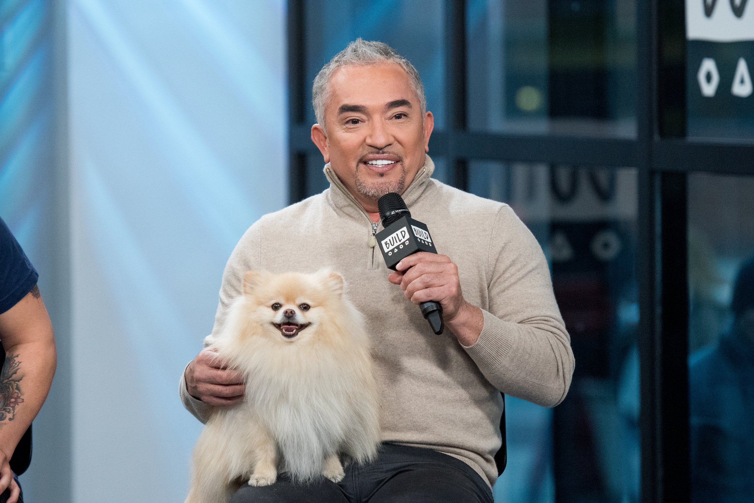 Cesar Millan