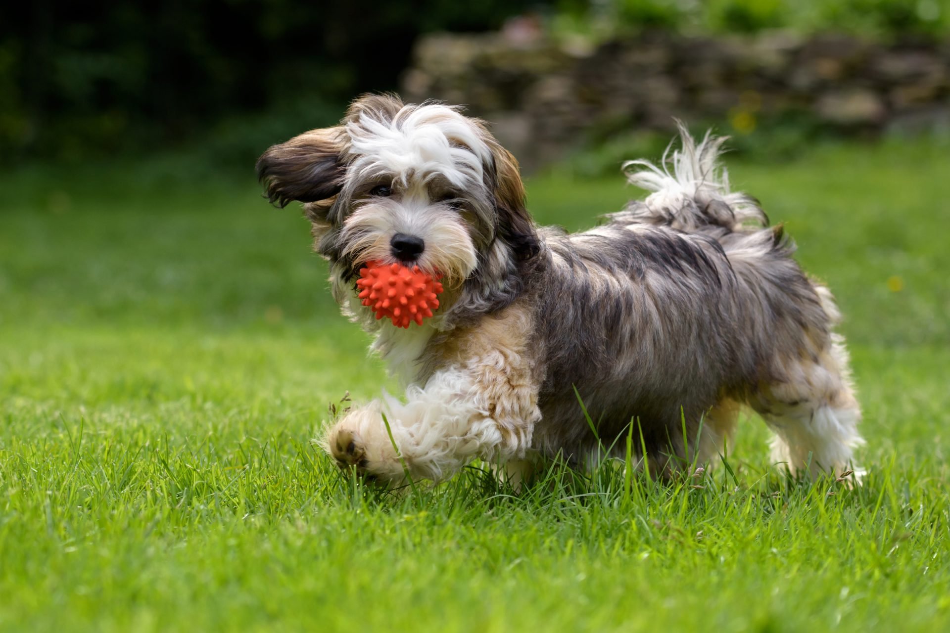 2021_02_gettyimages-683333466-scaled.jpg