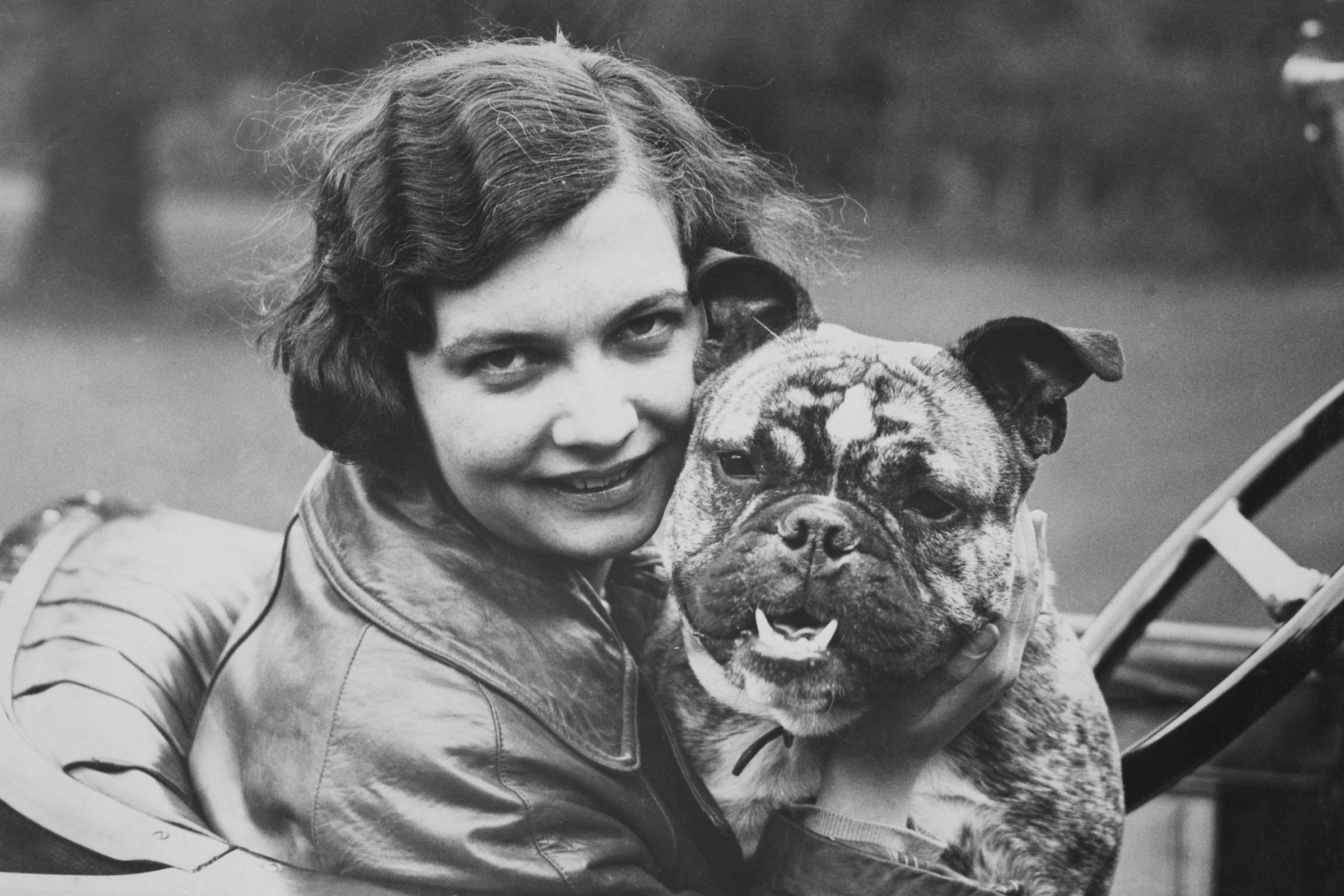 Joyce Barbour angol bulldog