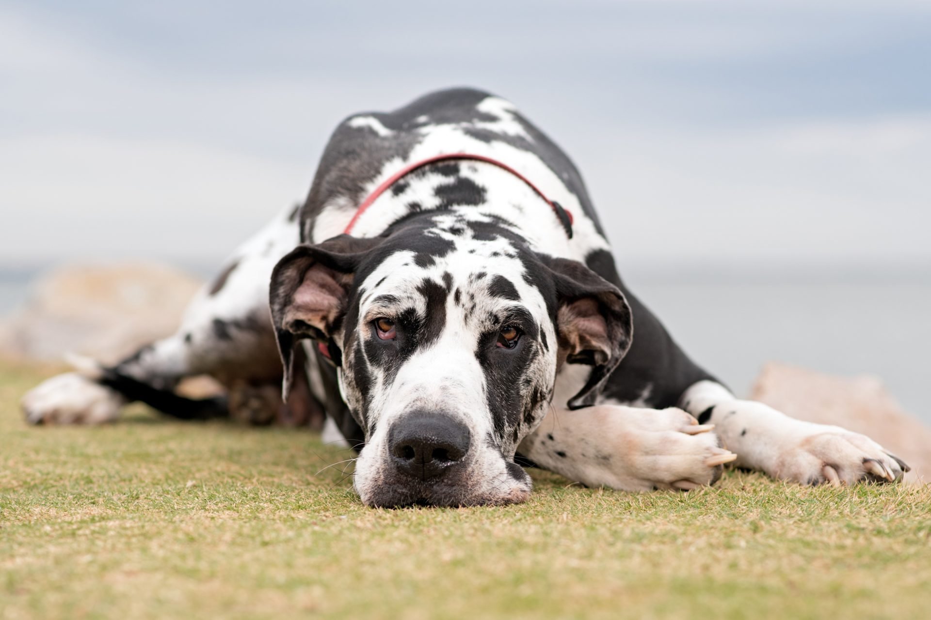 2021_02_gettyimages-929094662-scaled.jpg