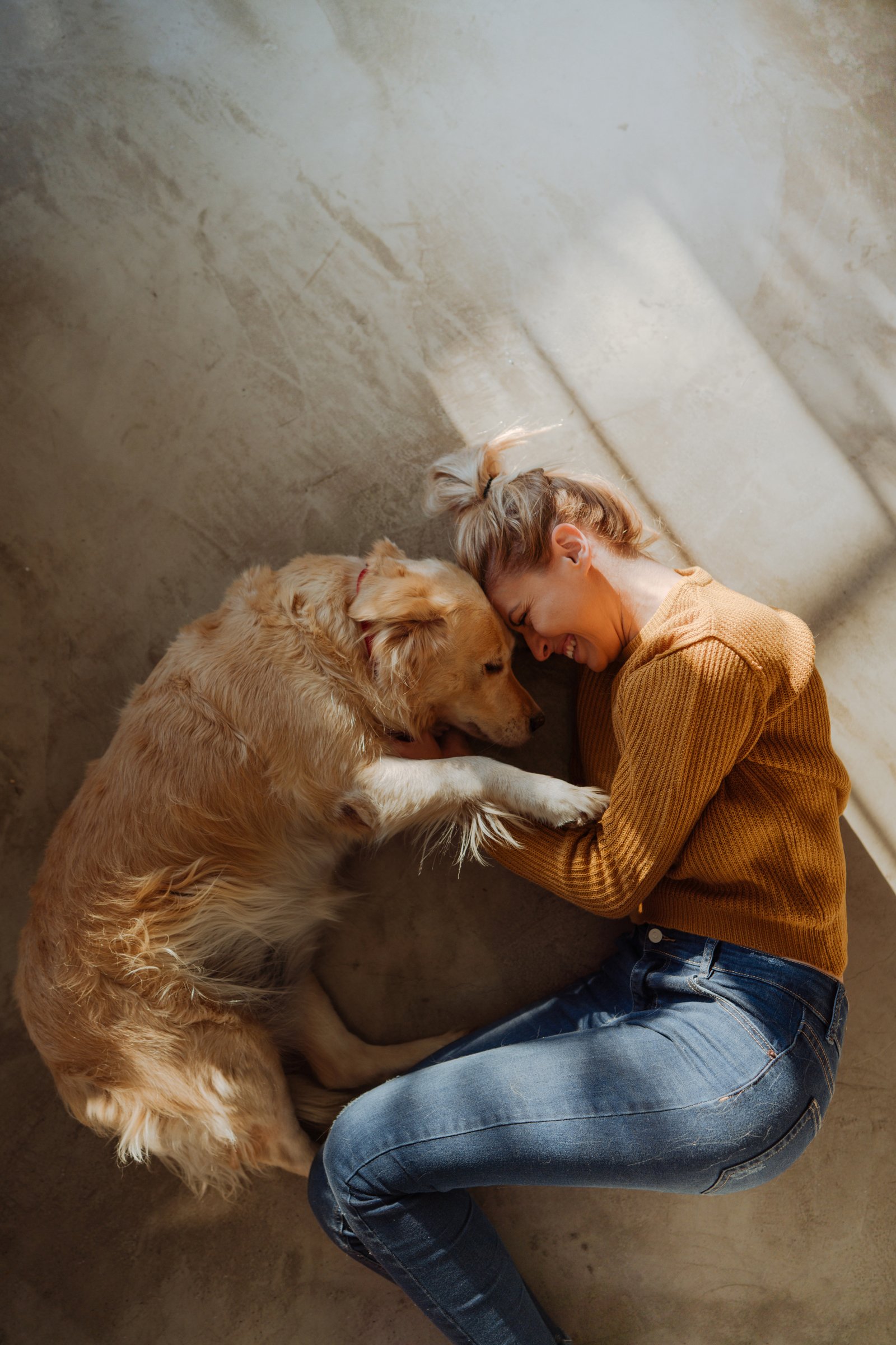 szeretet kutya gazda golden retriever