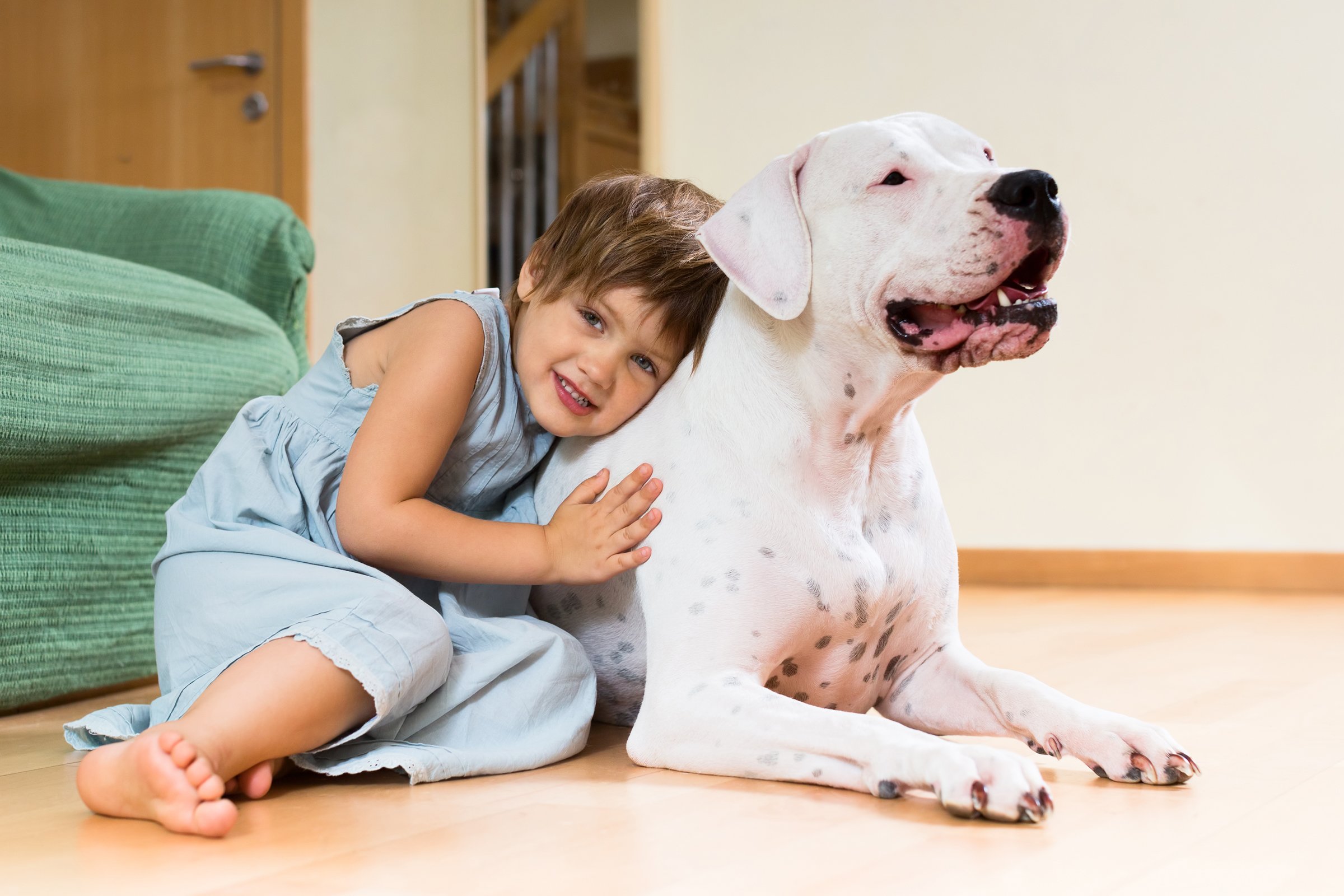 kislány gyerek argentin dog ölel szeret